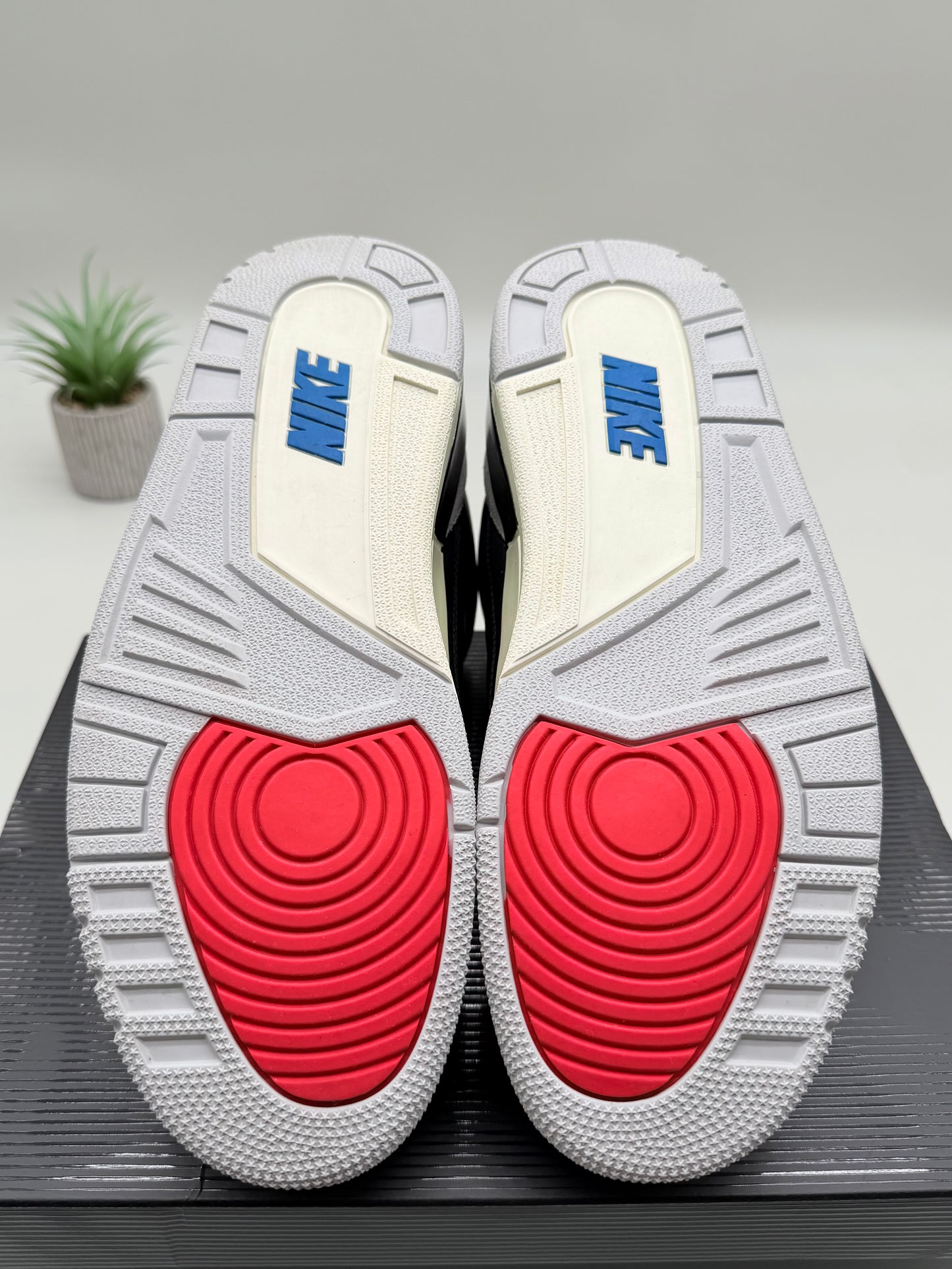 Jordan 3 Rare Air