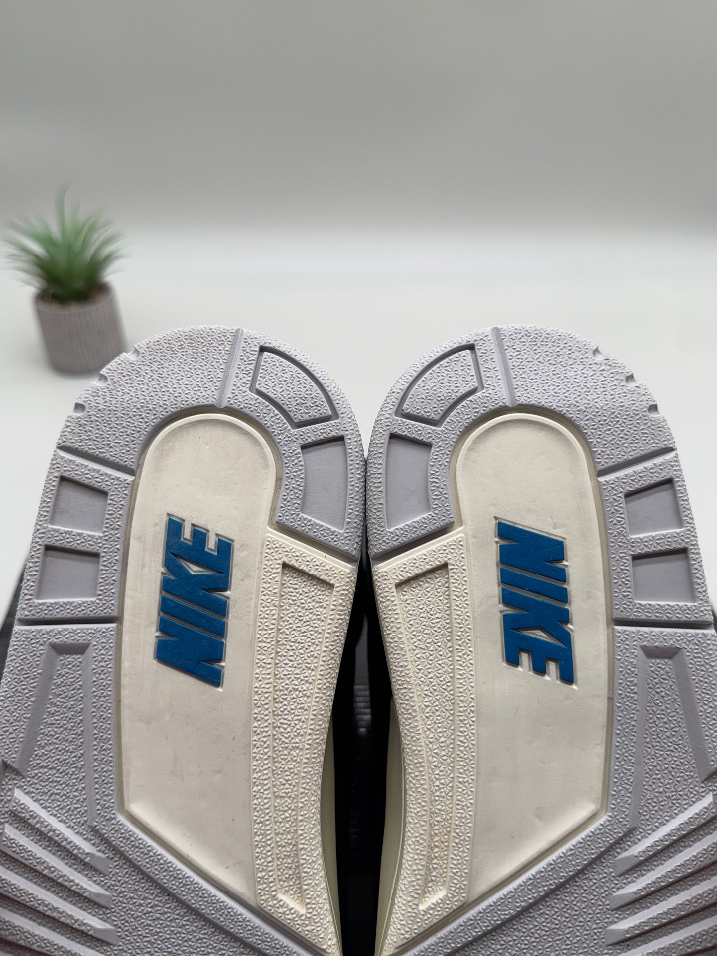 Jordan 3 Rare Air