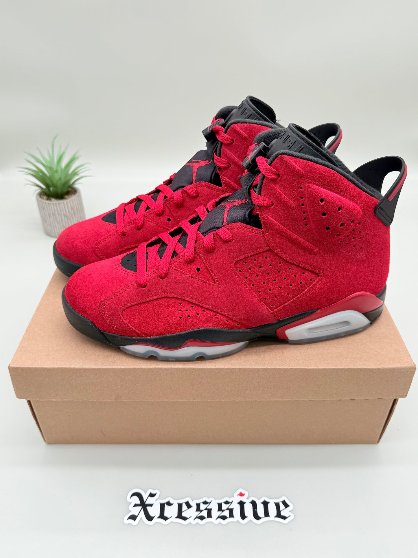 Jordan 6 Toro Bravo
