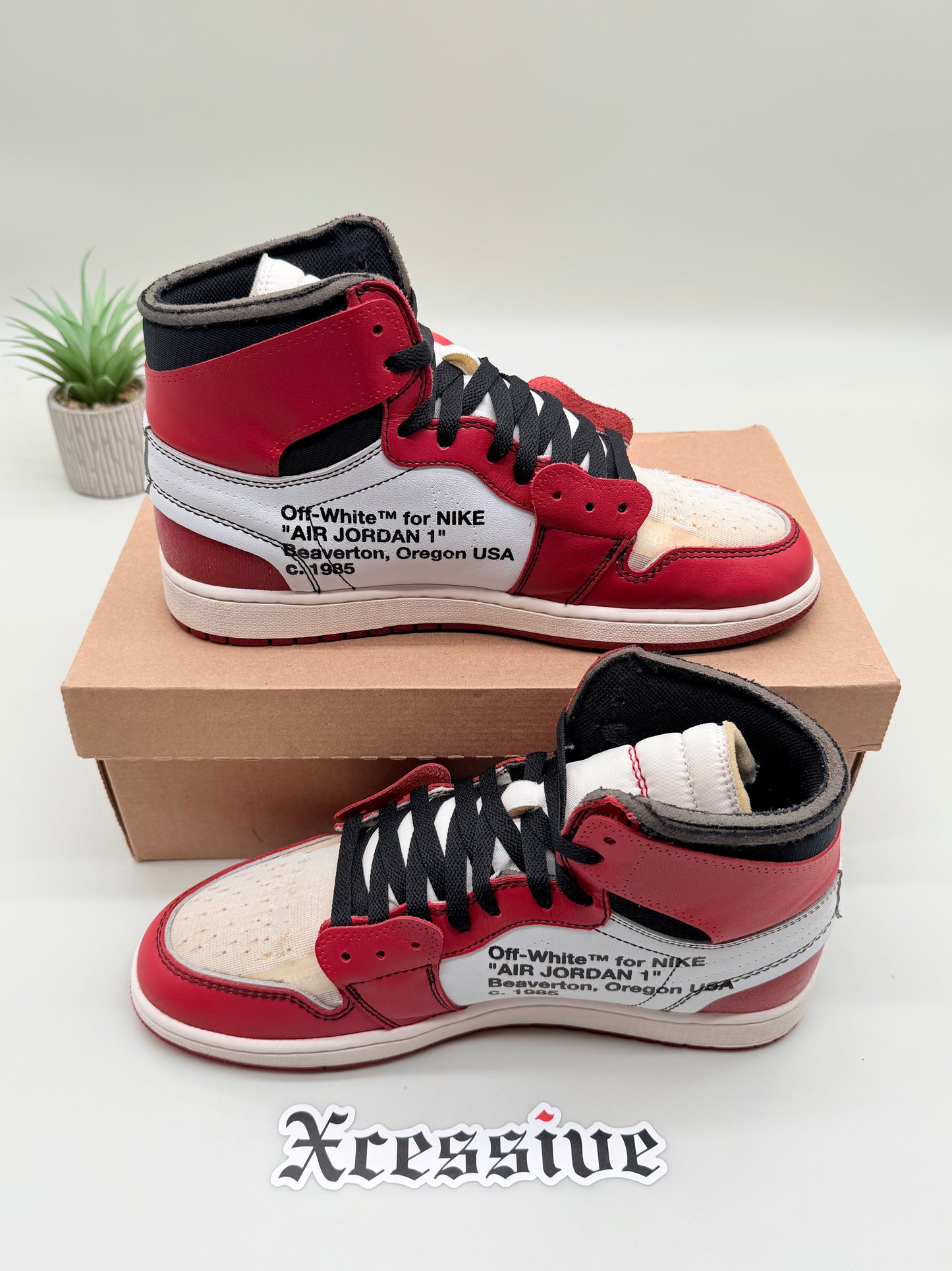 Off-White Jordan 1 Chicago