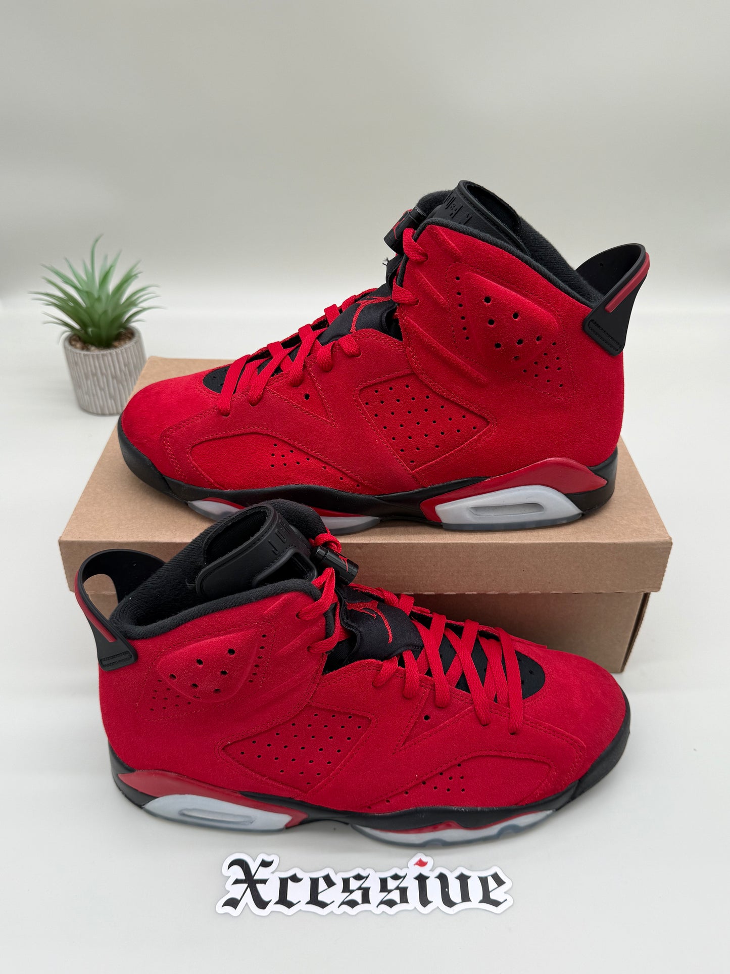 Jordan 6 Toro Bravo