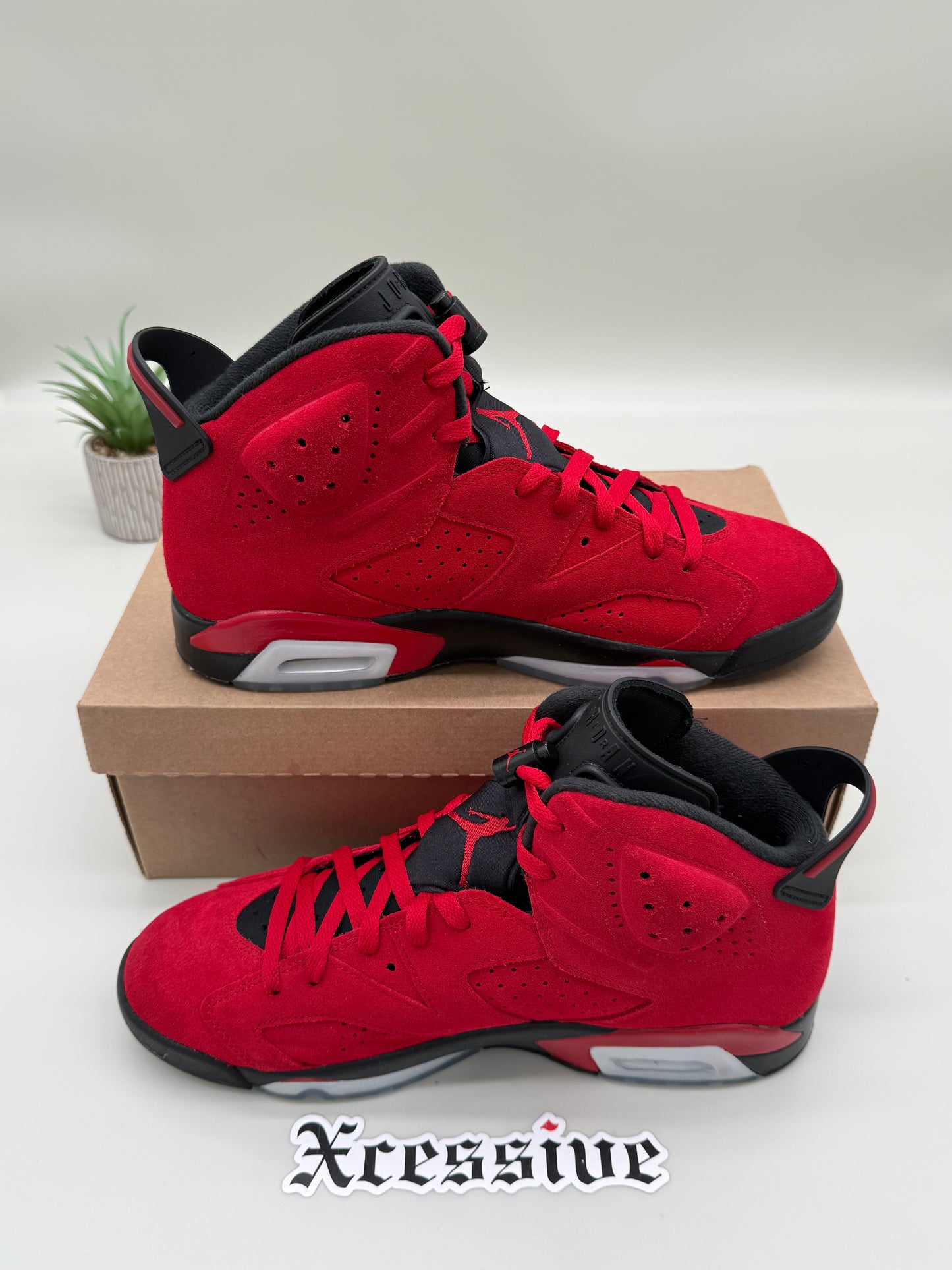 Jordan 6 Toro Bravo