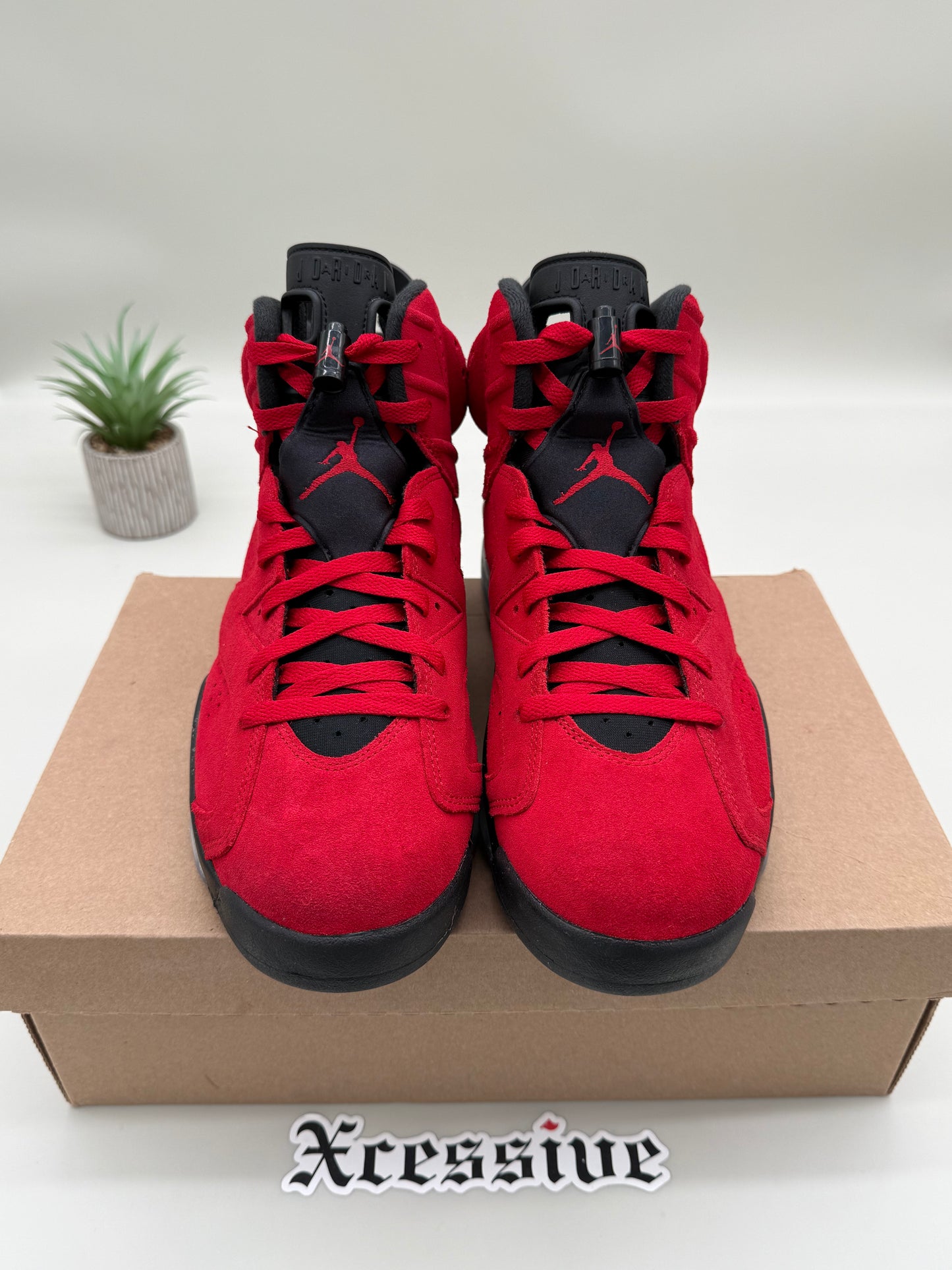 Jordan 6 Toro Bravo