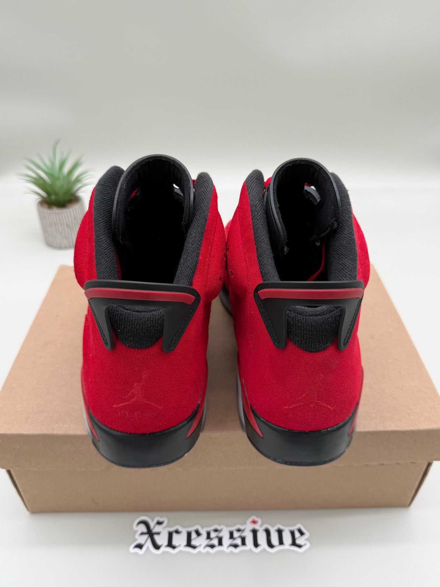 Jordan 6 Toro Bravo