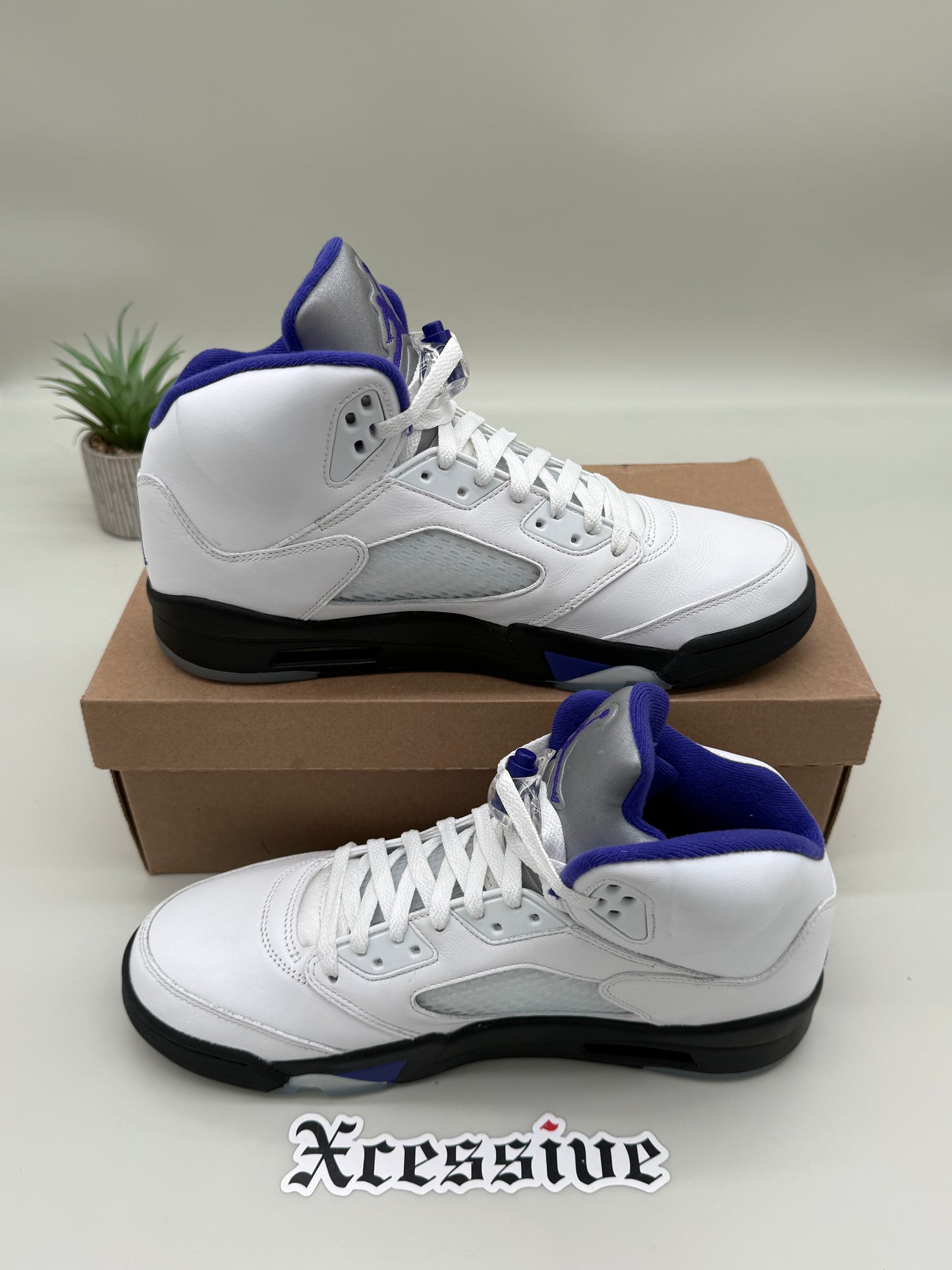 Jordan 5 Dark Concord