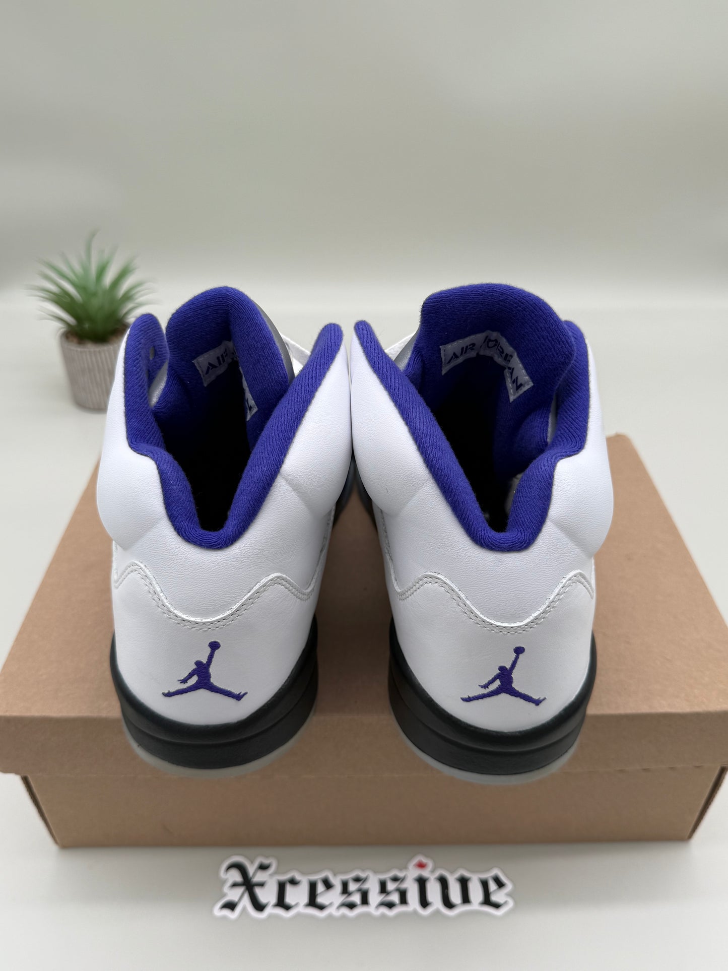 Jordan 5 Dark Concord