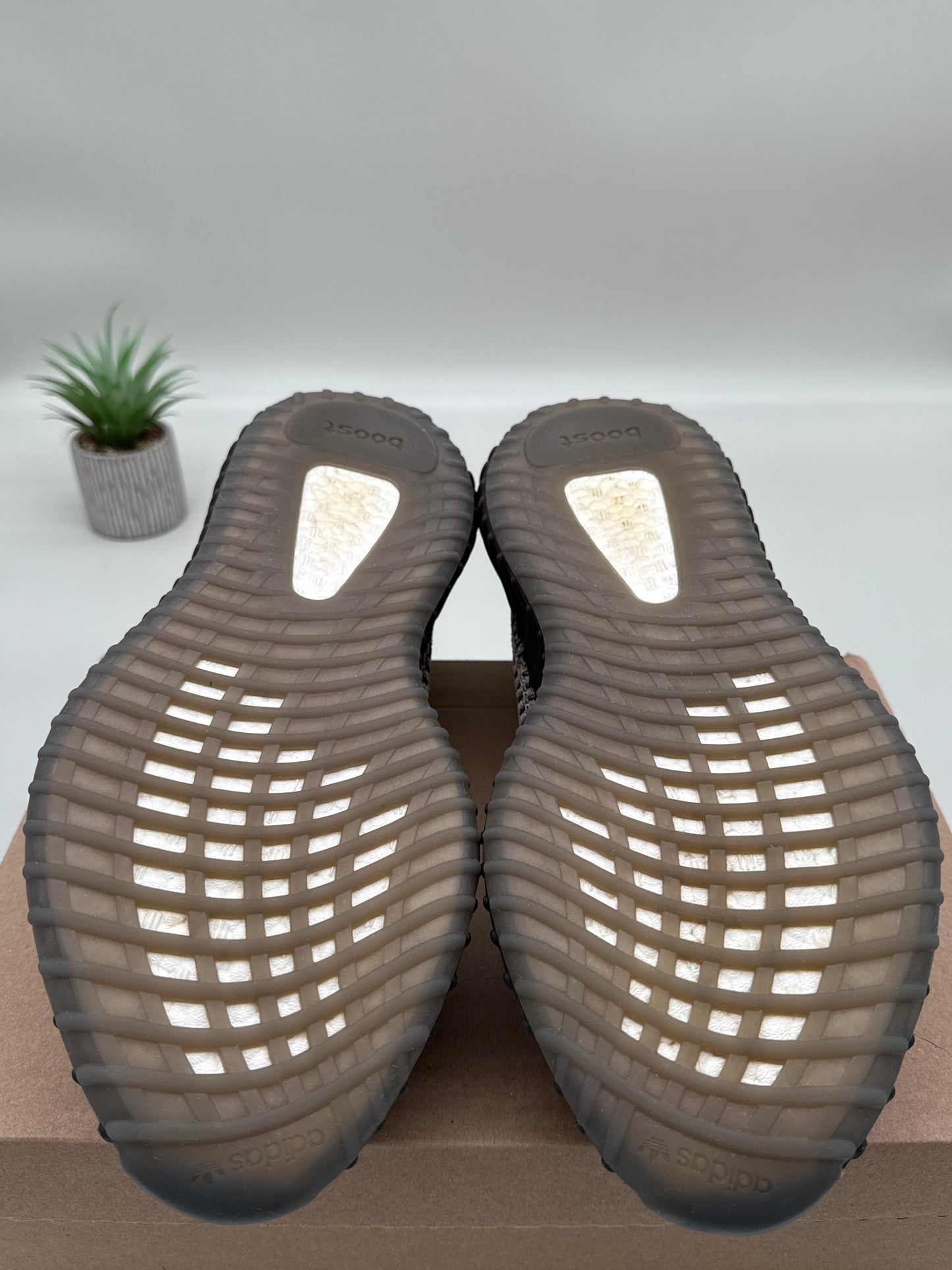 adidas Yeezy 350 Boost V2 Ash Stone