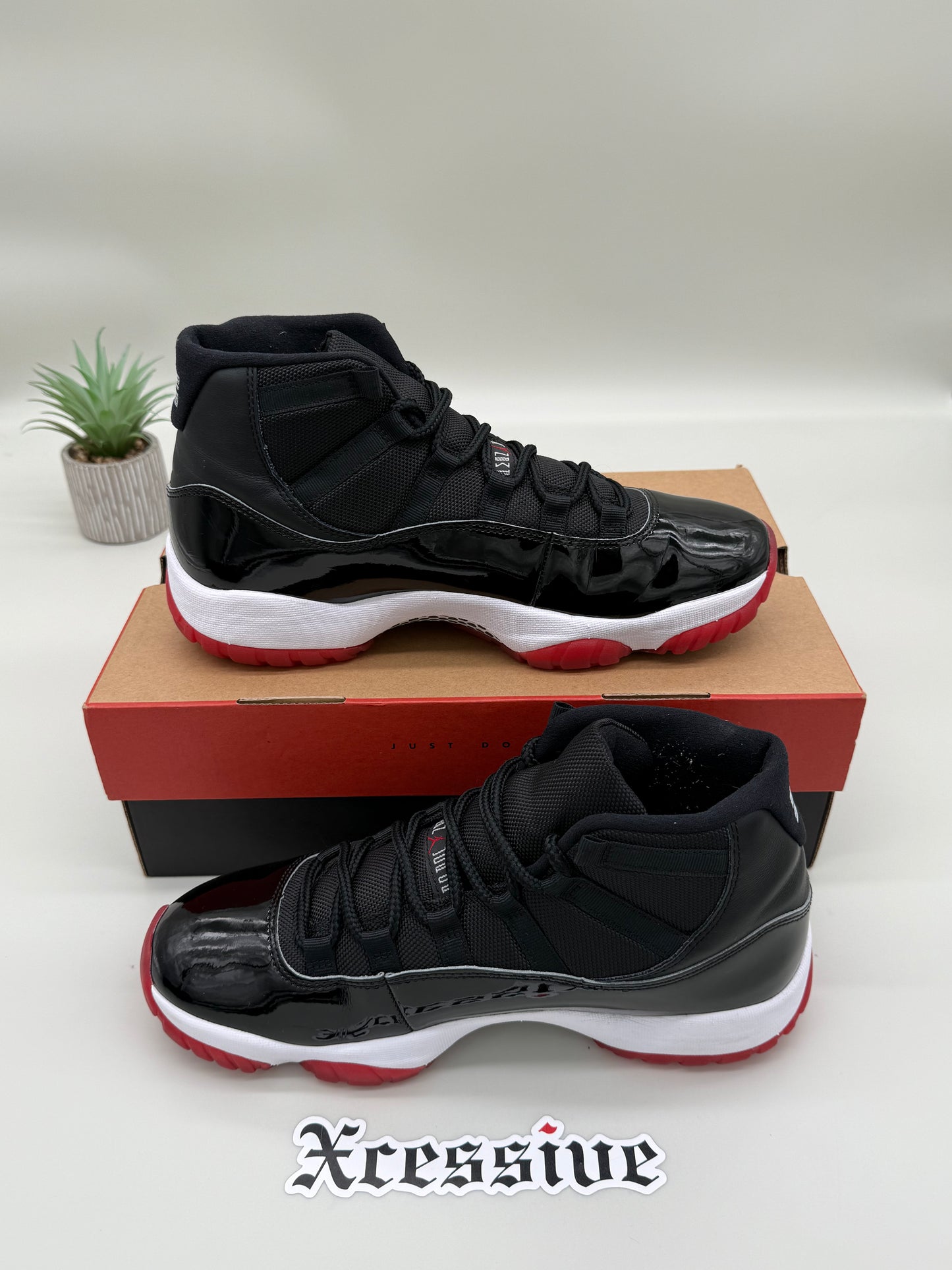 Jordan 11 Bred
