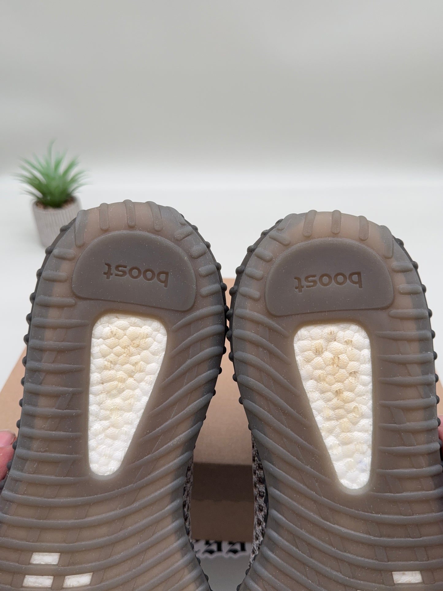 adidas Yeezy 350 Boost V2 Ash Stone