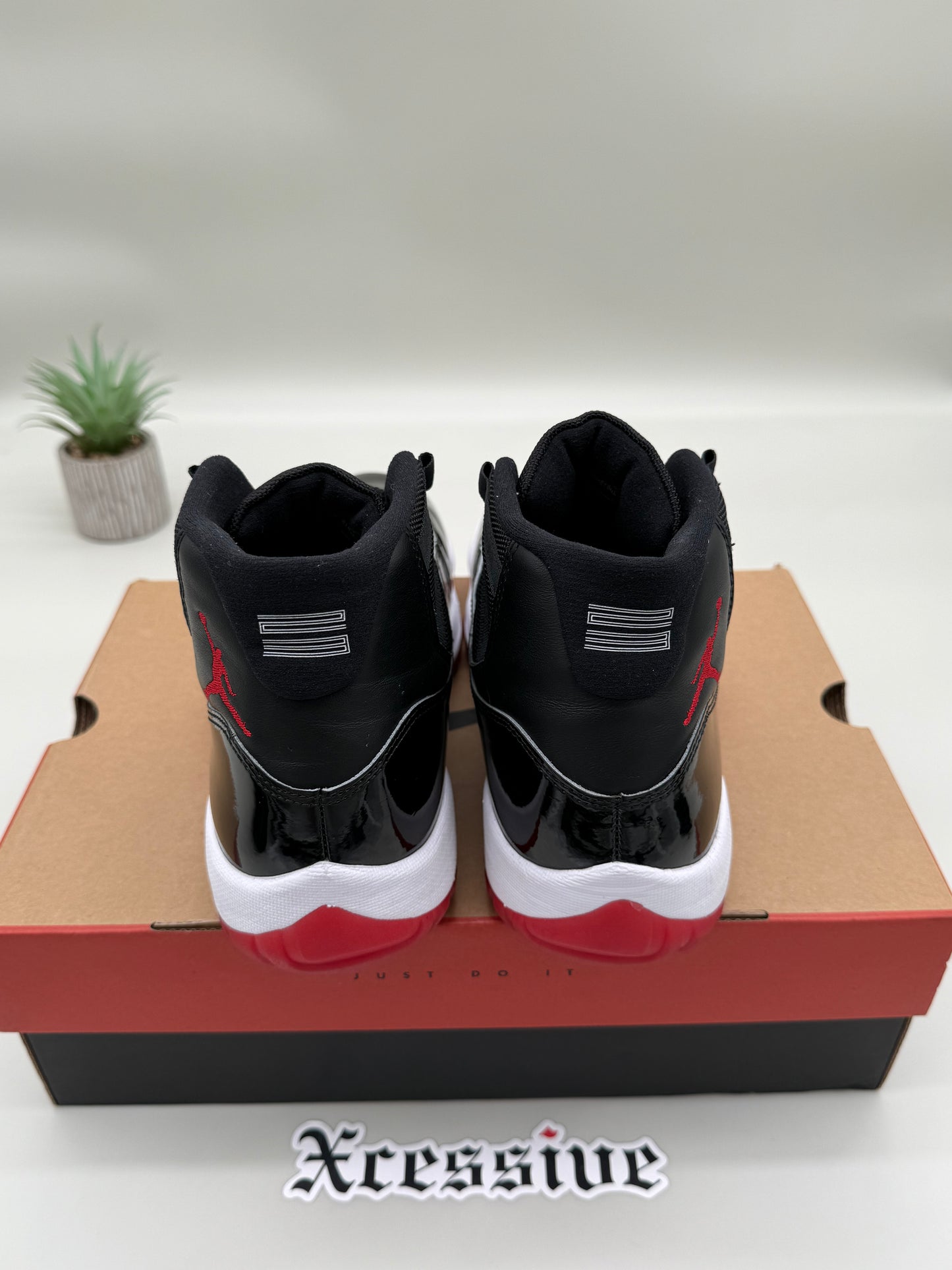 Jordan 11 Bred