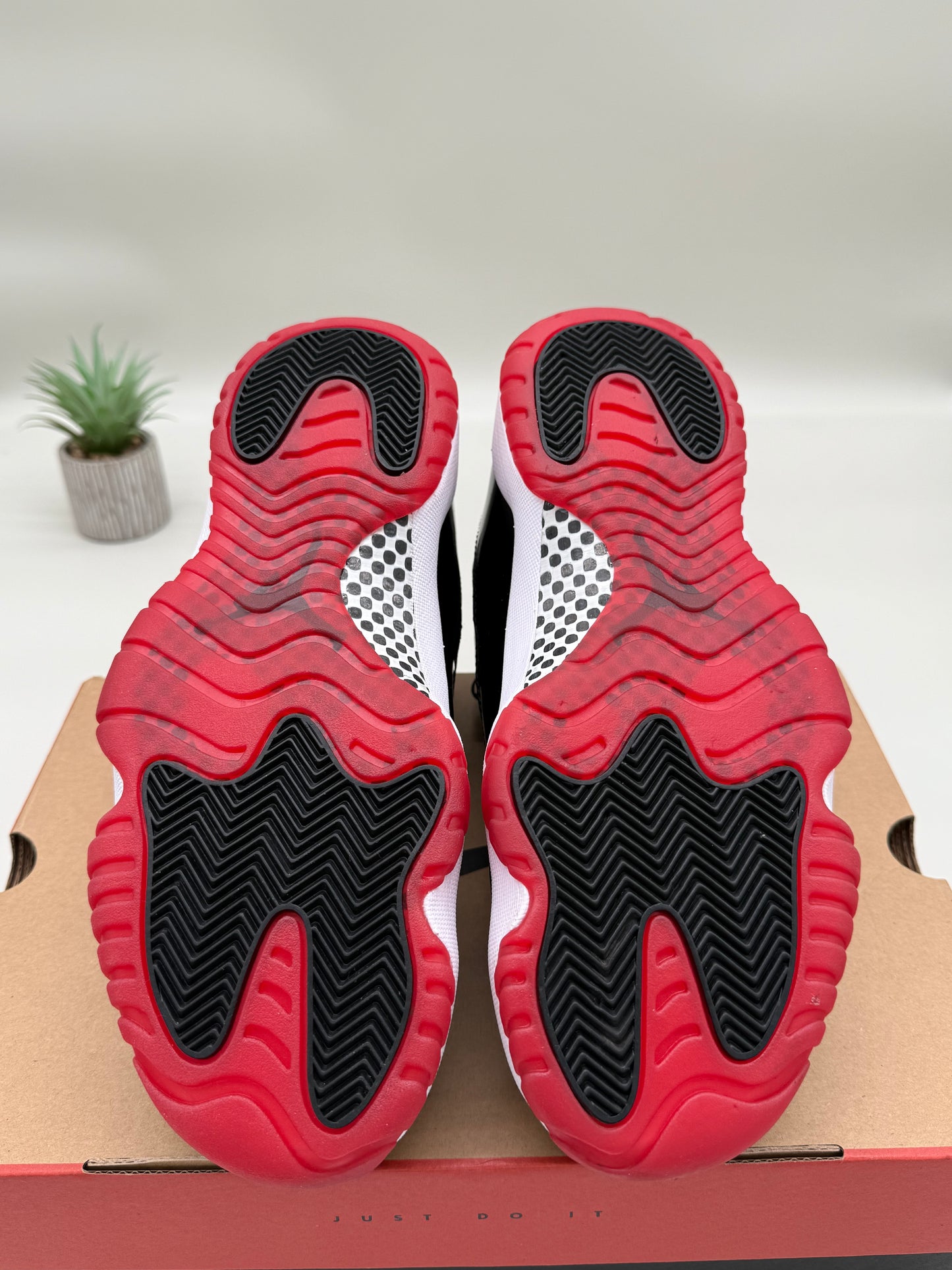 Jordan 11 Bred
