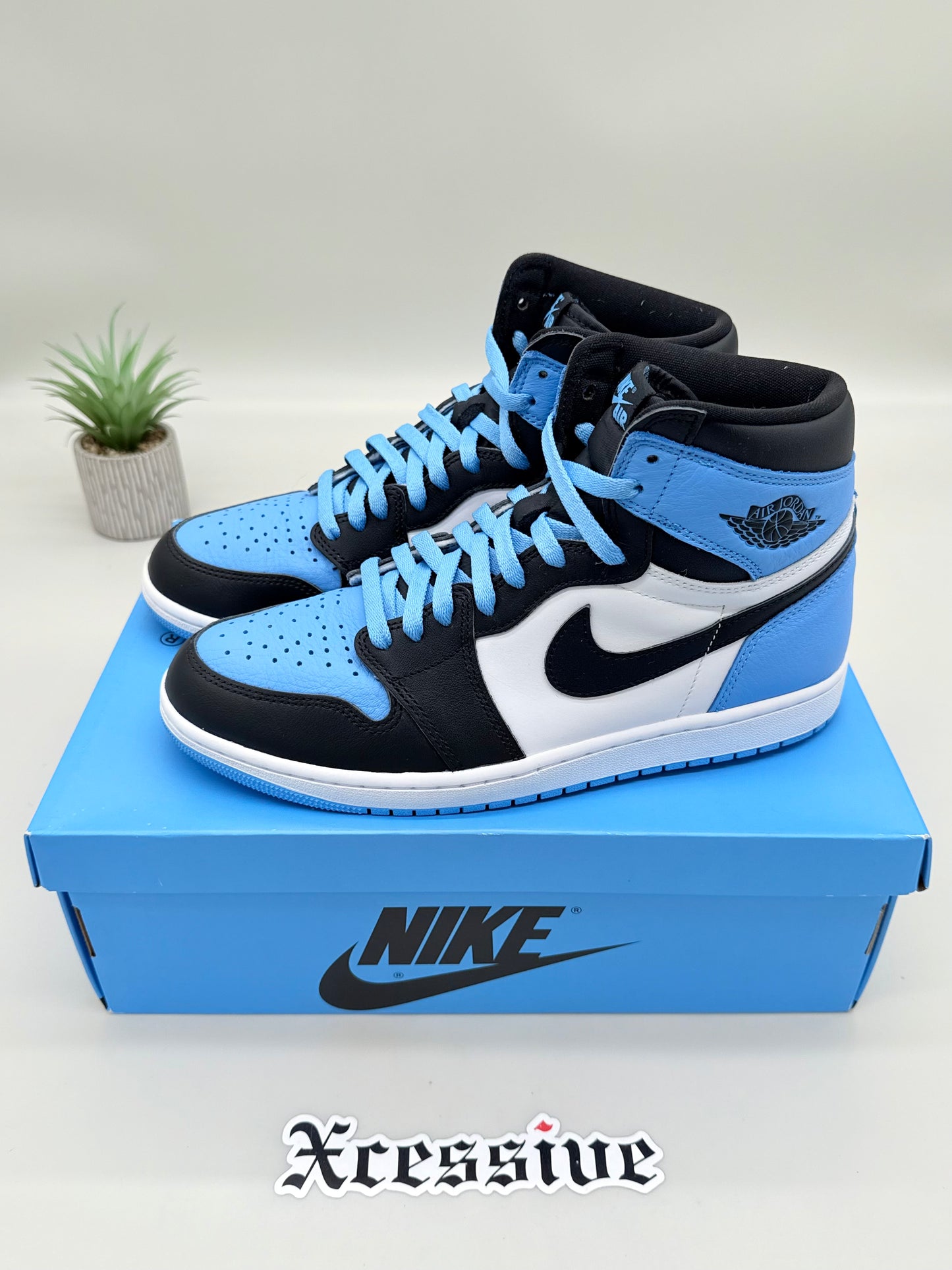 Jordan 1 UNC Toe
