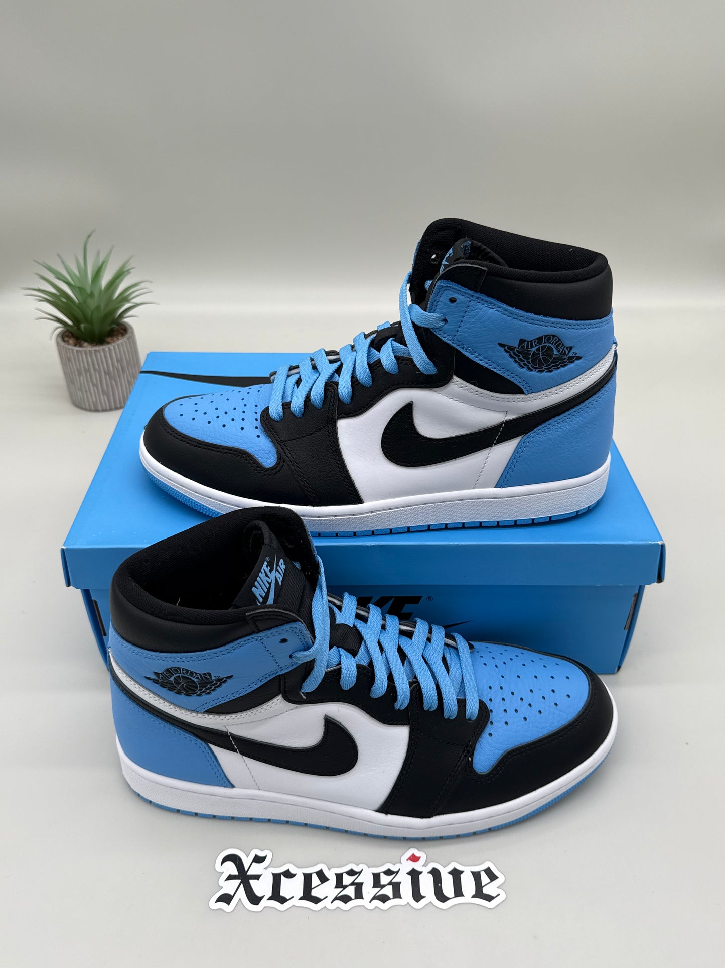 Jordan 1 UNC Toe