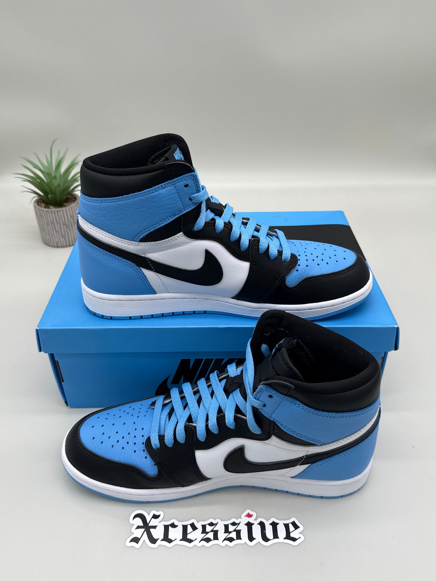 Jordan 1 UNC Toe