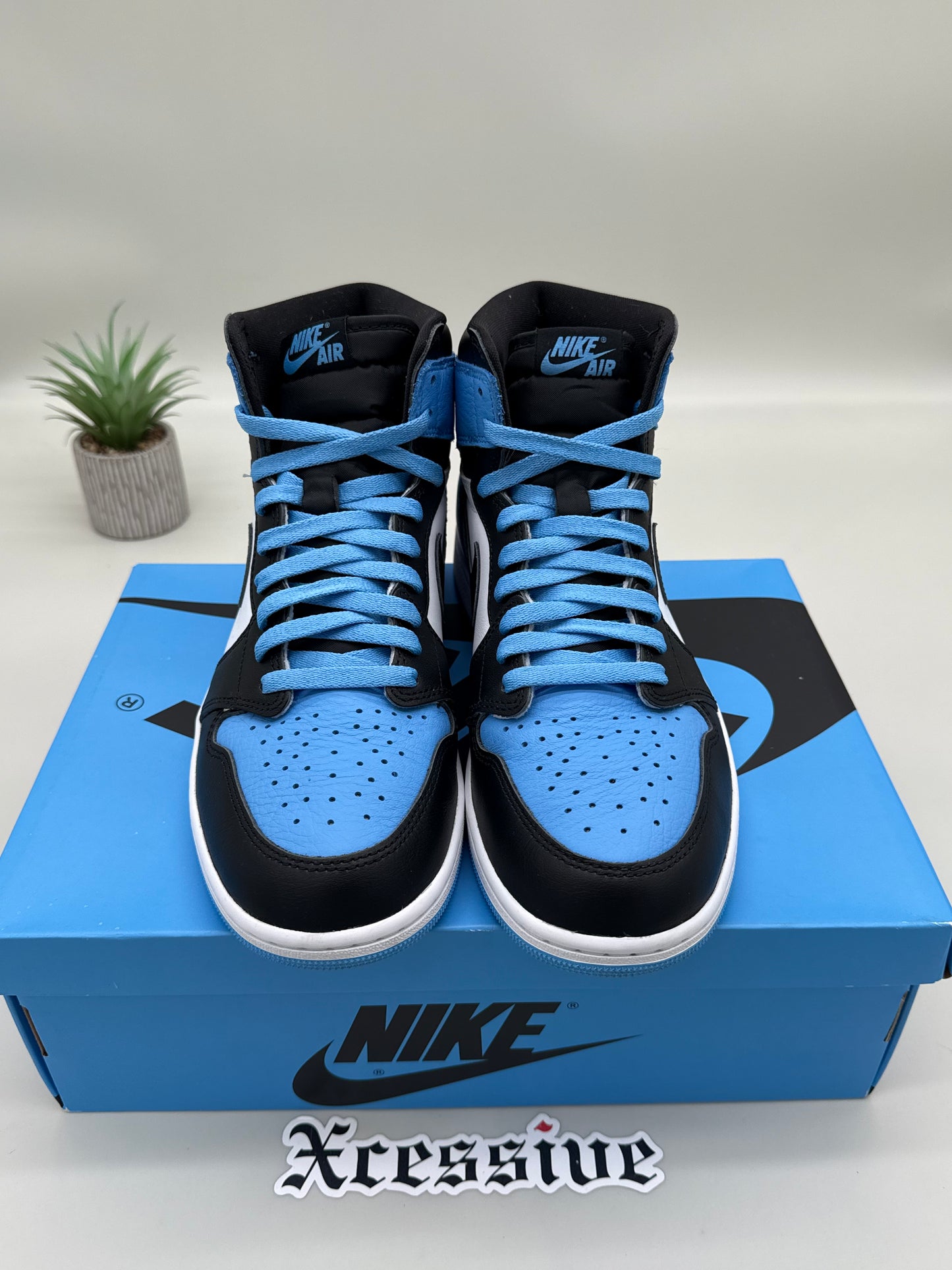 Jordan 1 UNC Toe