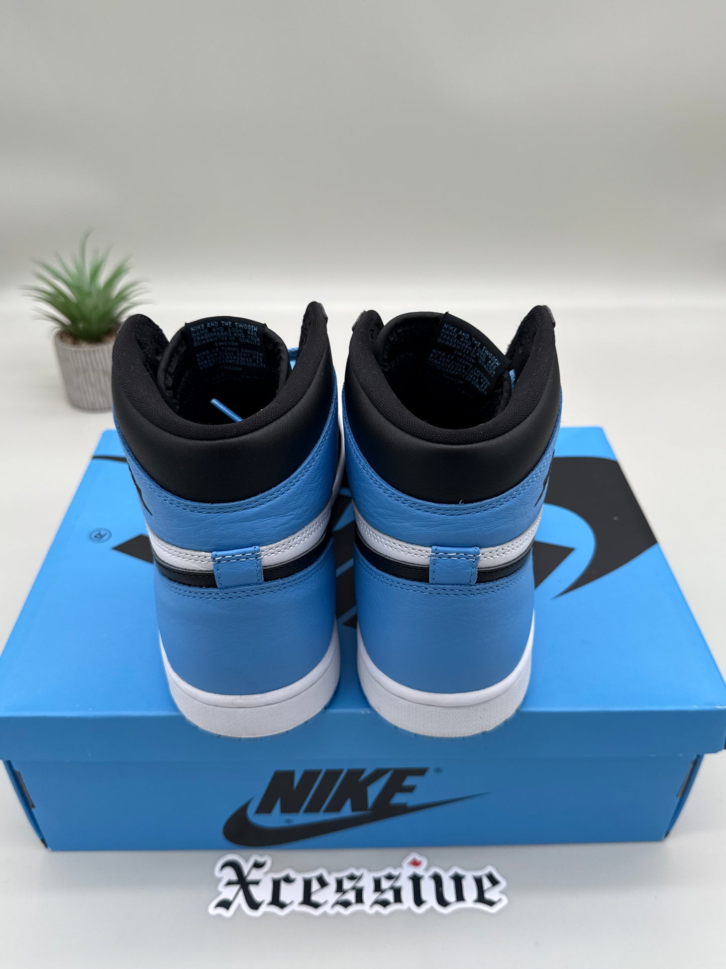 Jordan 1 UNC Toe