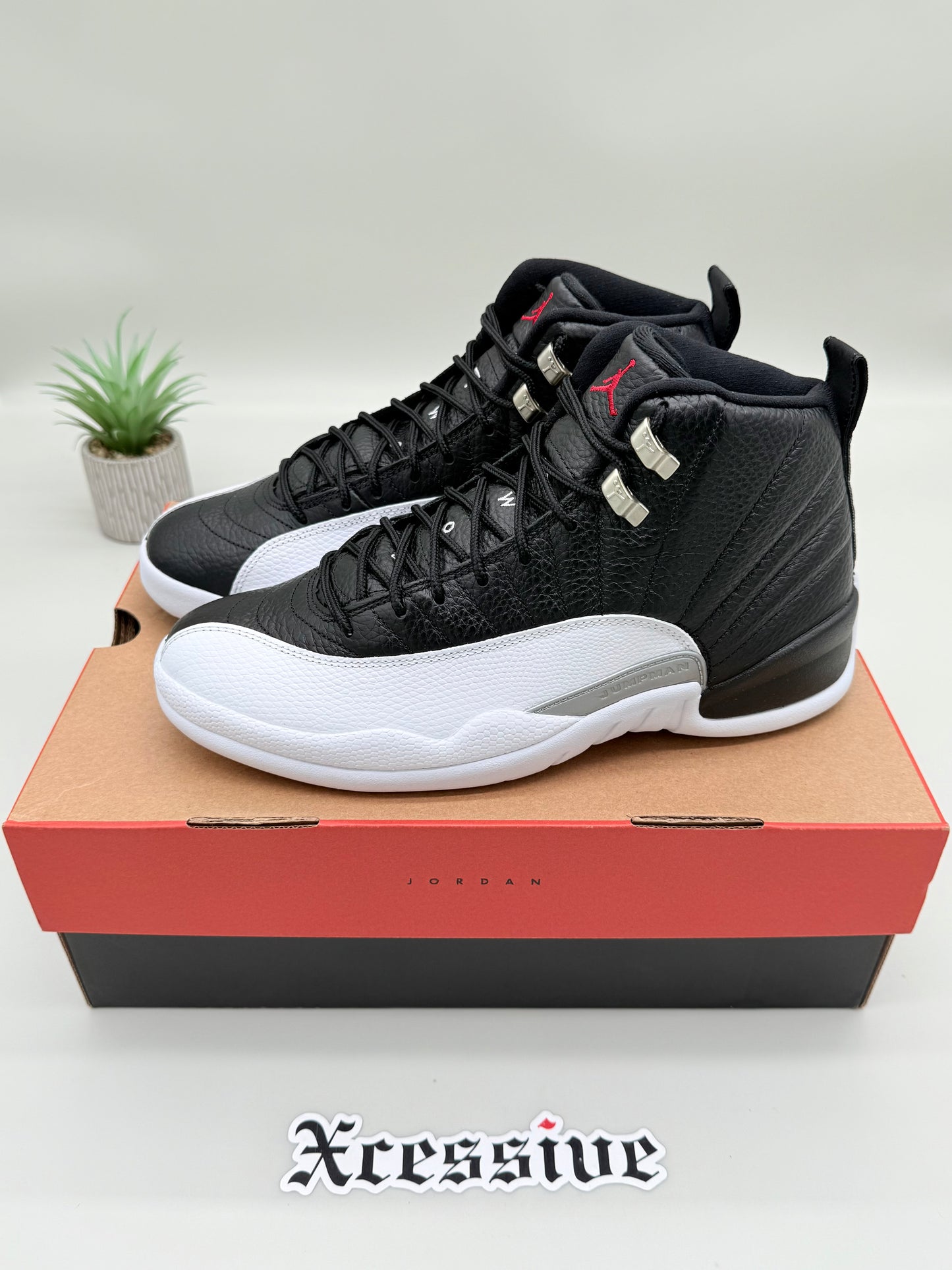 Jordan 12 Playoffs