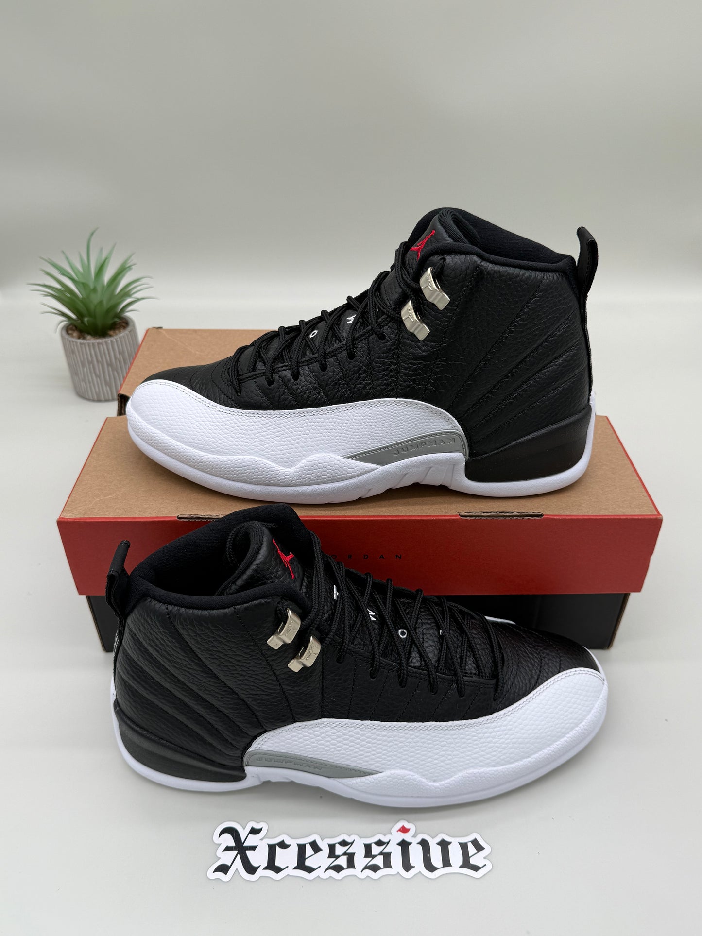 Jordan 12 Playoffs