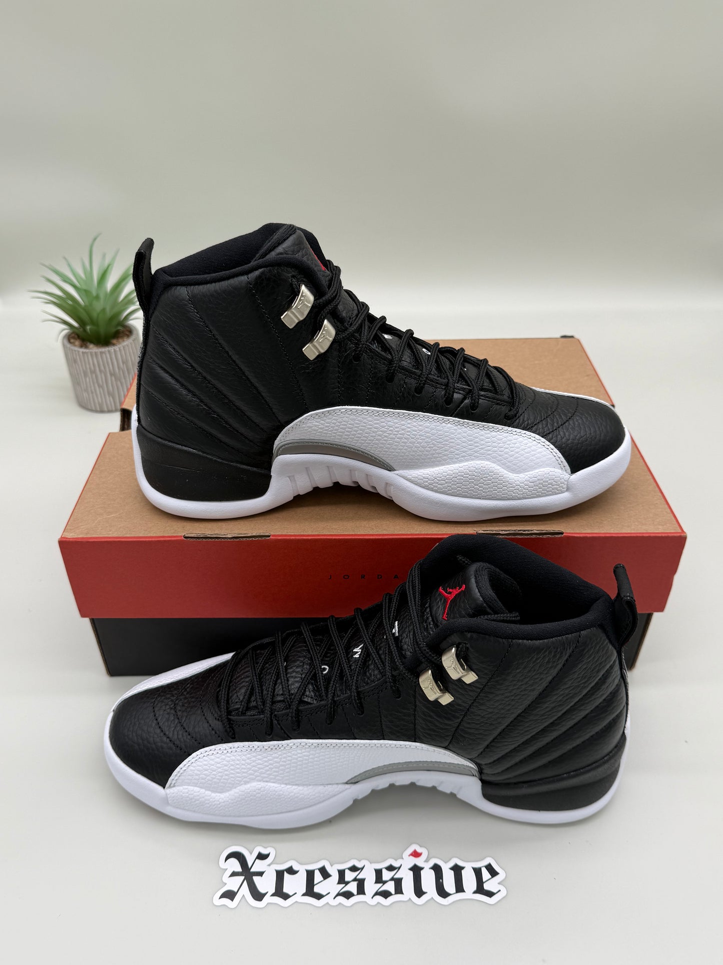 Jordan 12 Playoffs