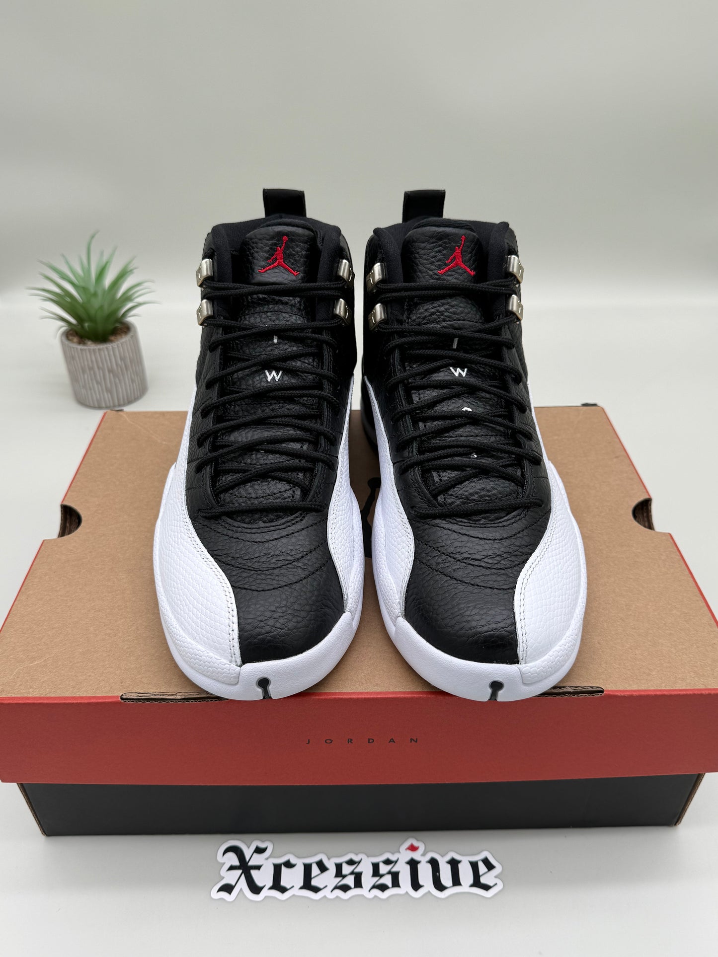 Jordan 12 Playoffs