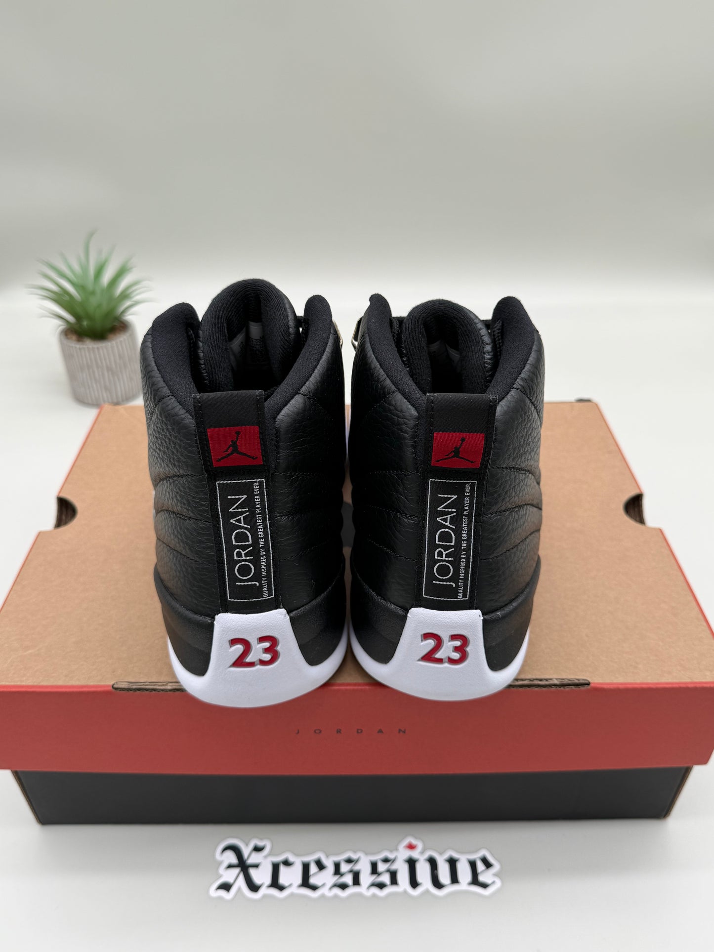 Jordan 12 Playoffs
