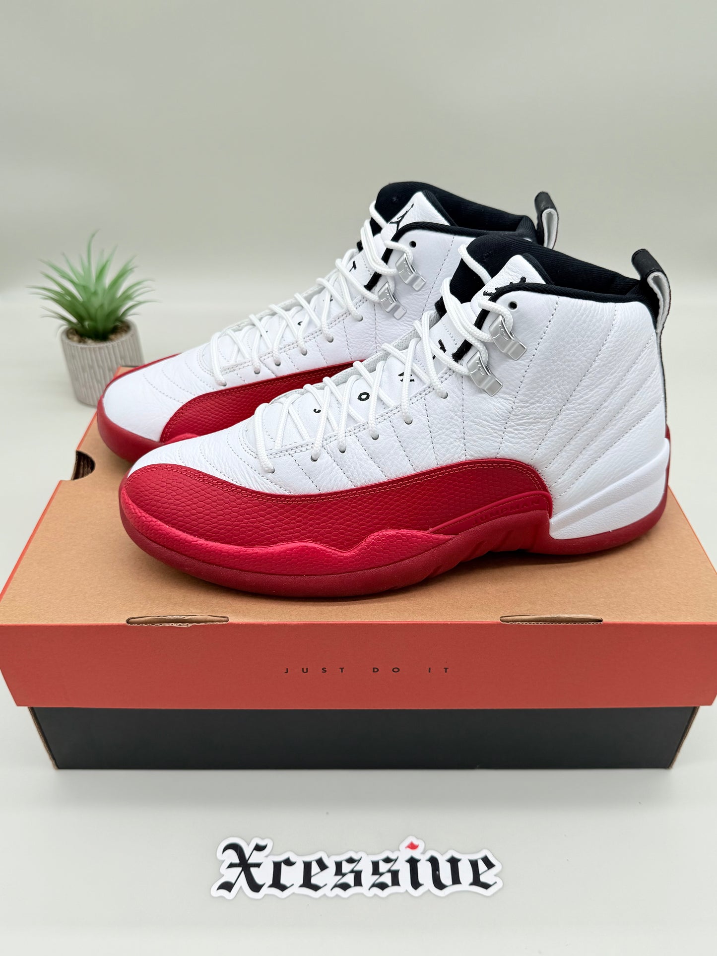 Jordan 12 Cherry