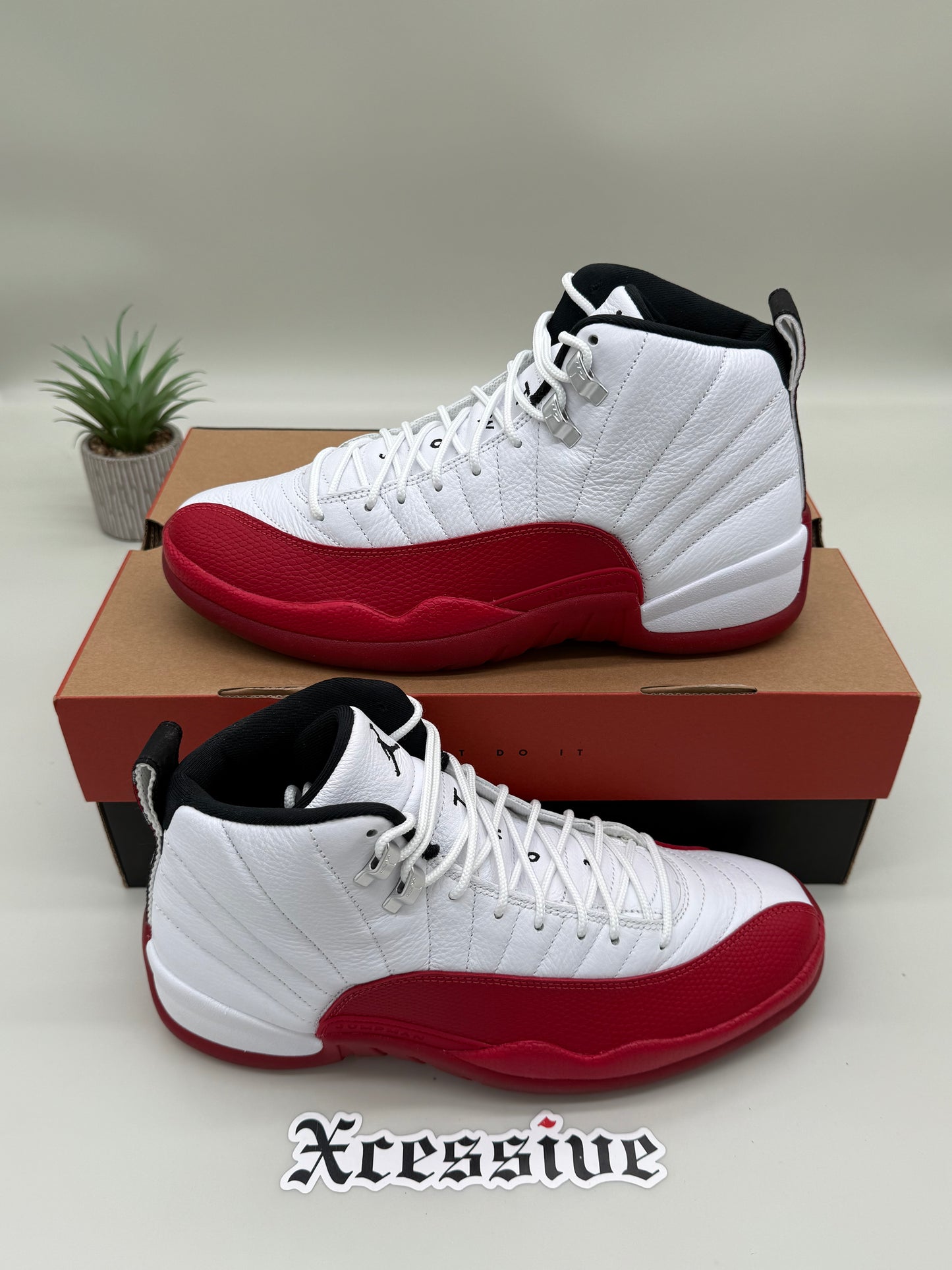 Jordan 12 Cherry