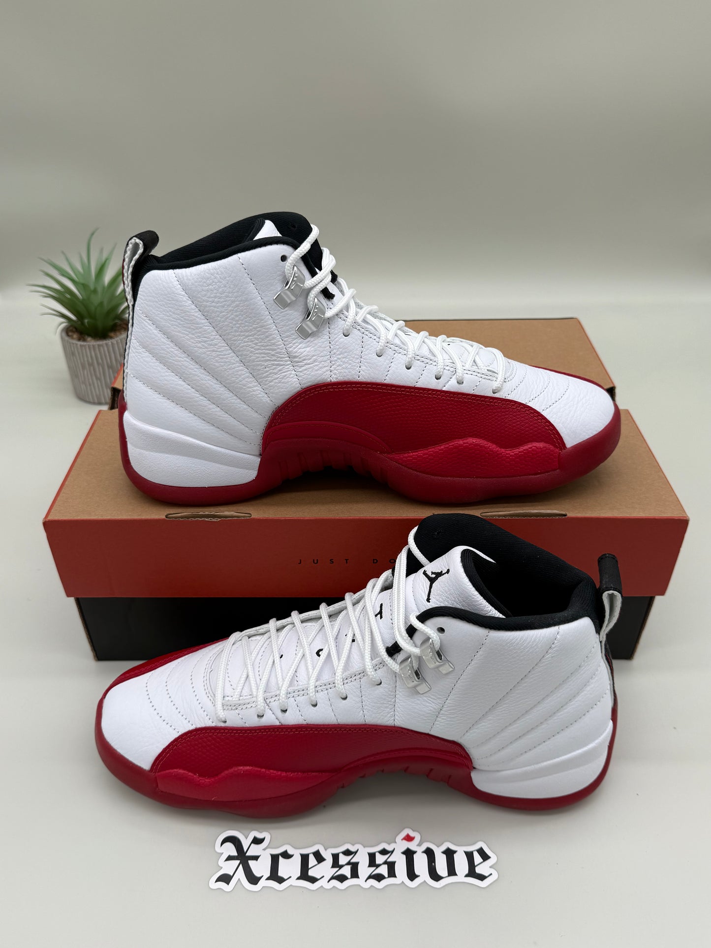 Jordan 12 Cherry