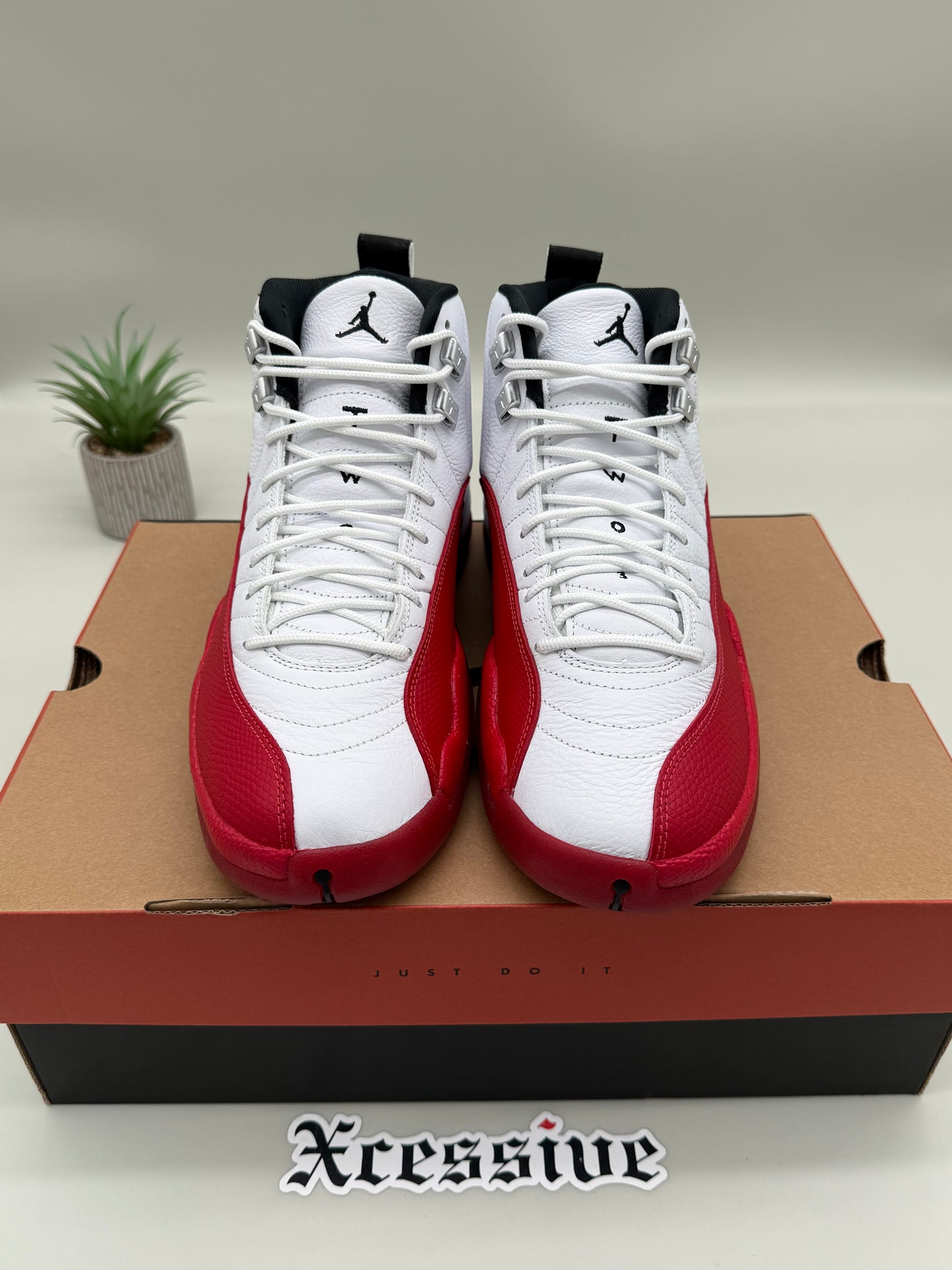 Jordan 12 Cherry