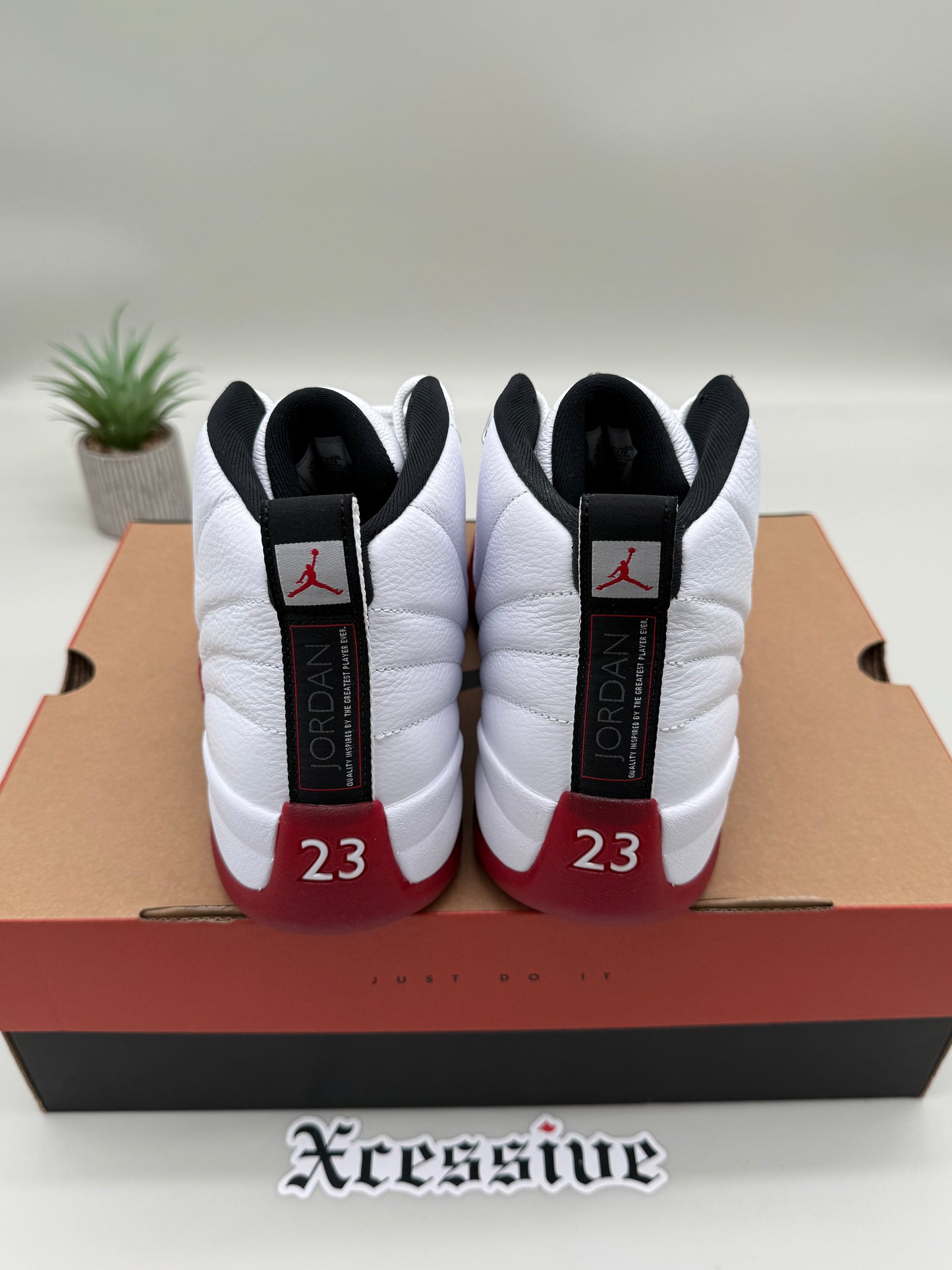 Jordan 12 Cherry