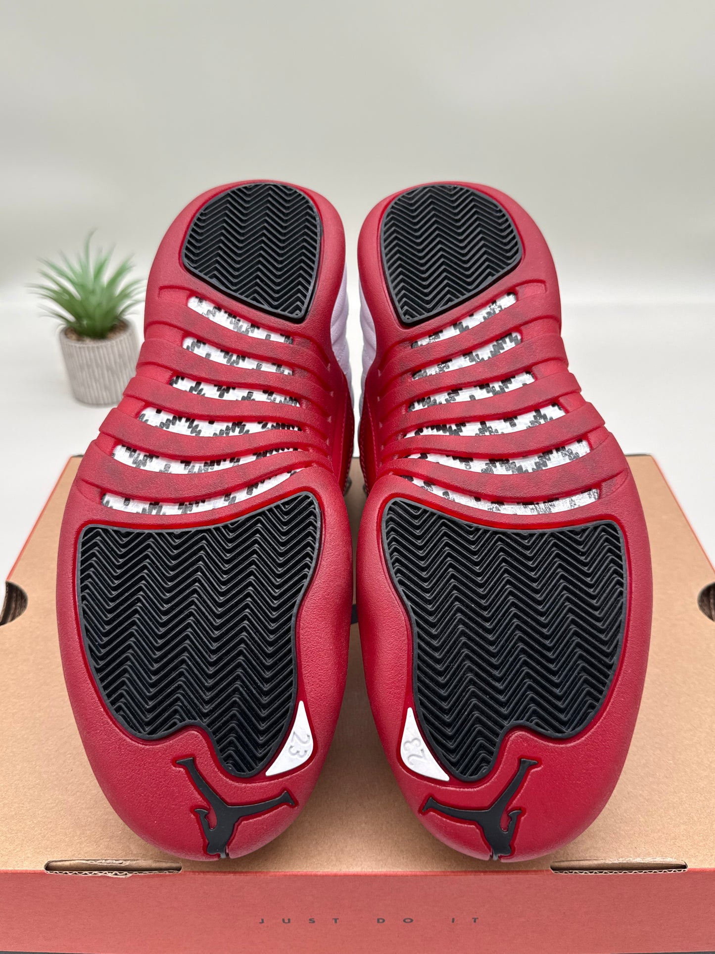 Jordan 12 Cherry