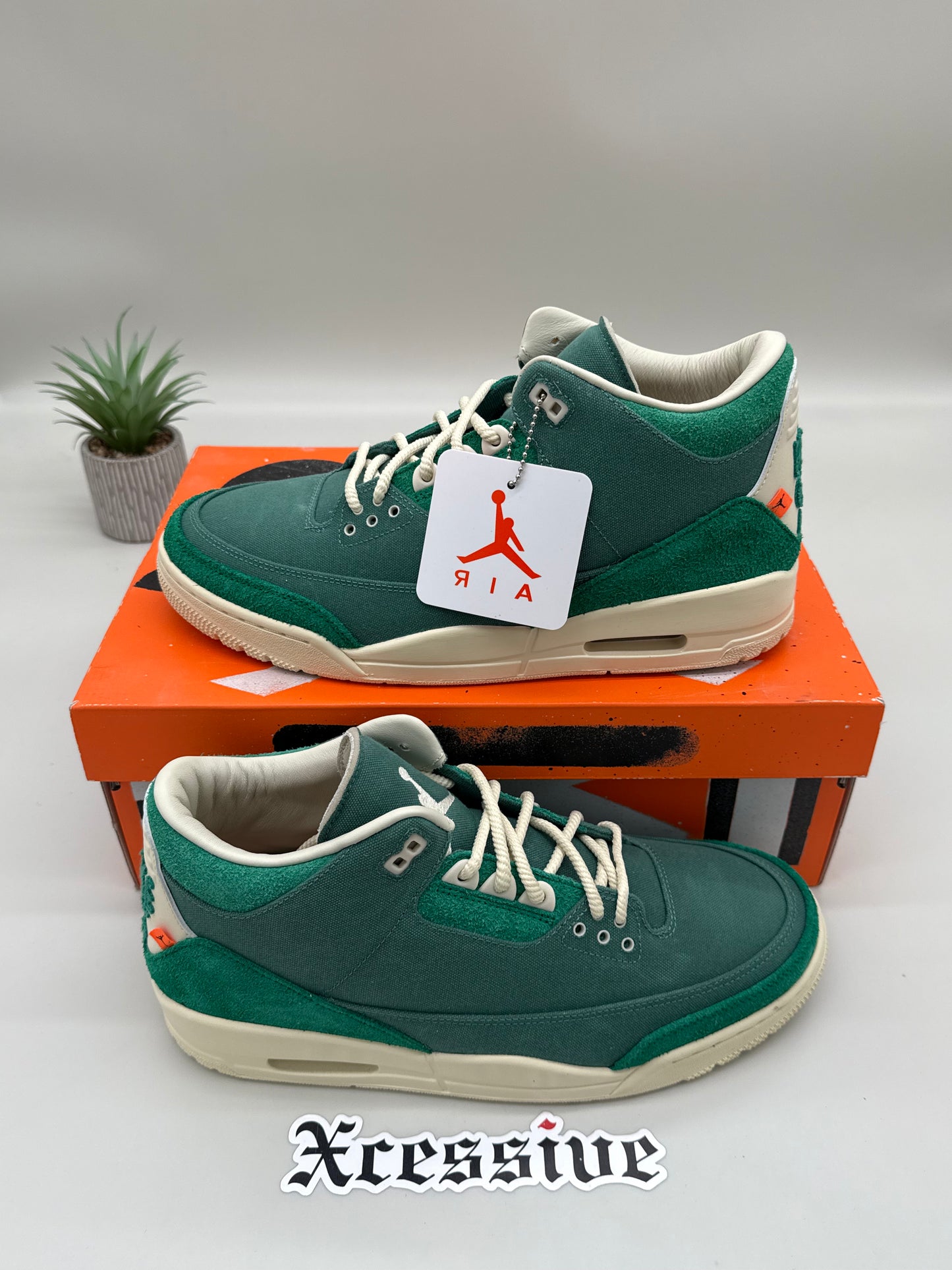 Jordan 3 Nina Chanel