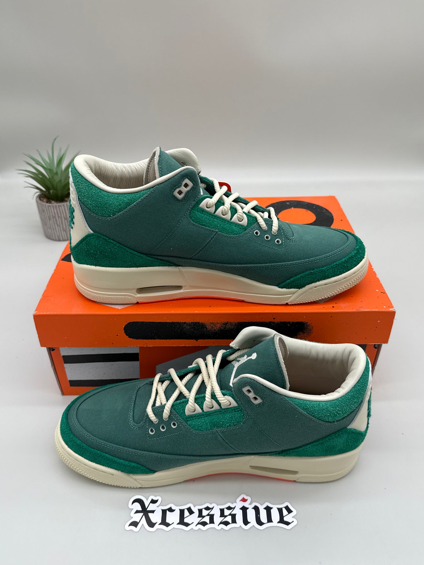 Jordan 3 Nina Chanel