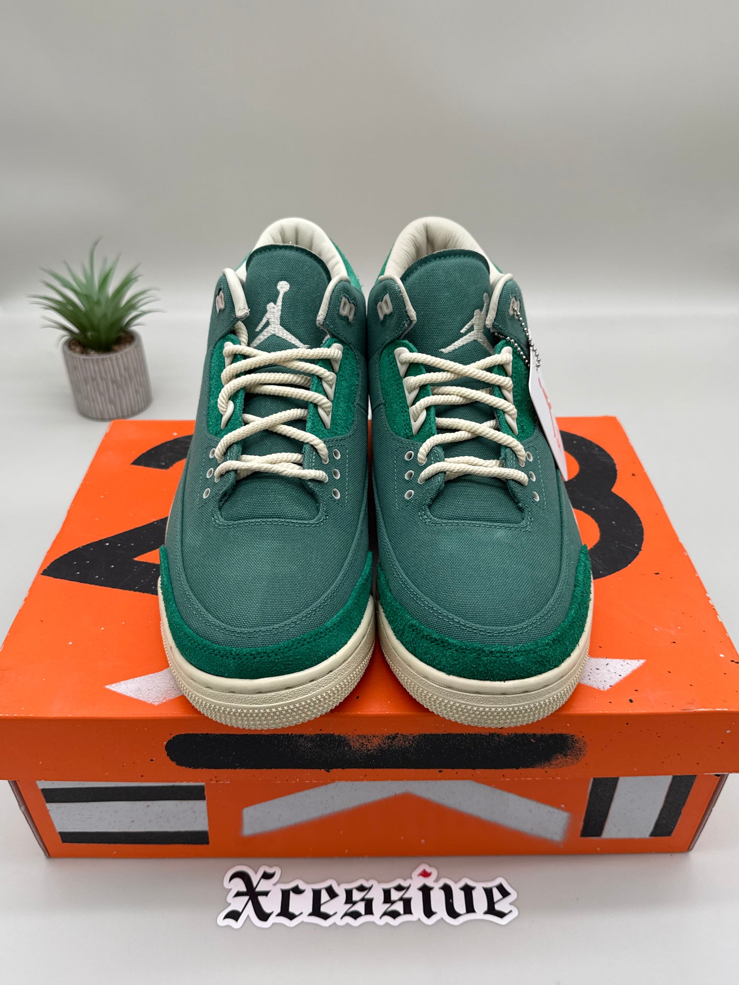 Jordan 3 Nina Chanel