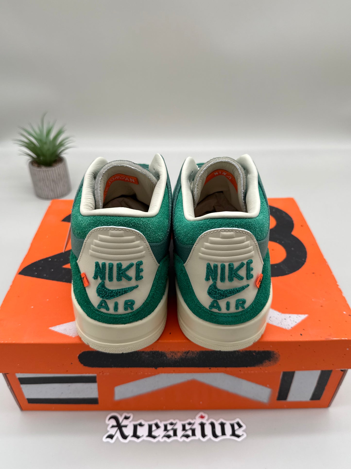 Jordan 3 Nina Chanel