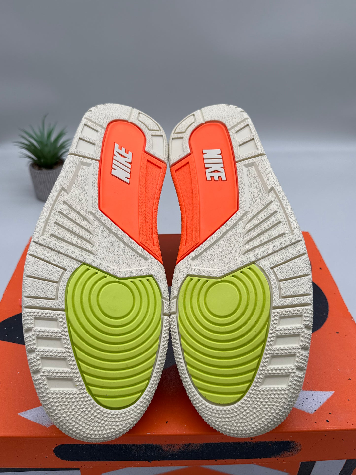 Jordan 3 Nina Chanel