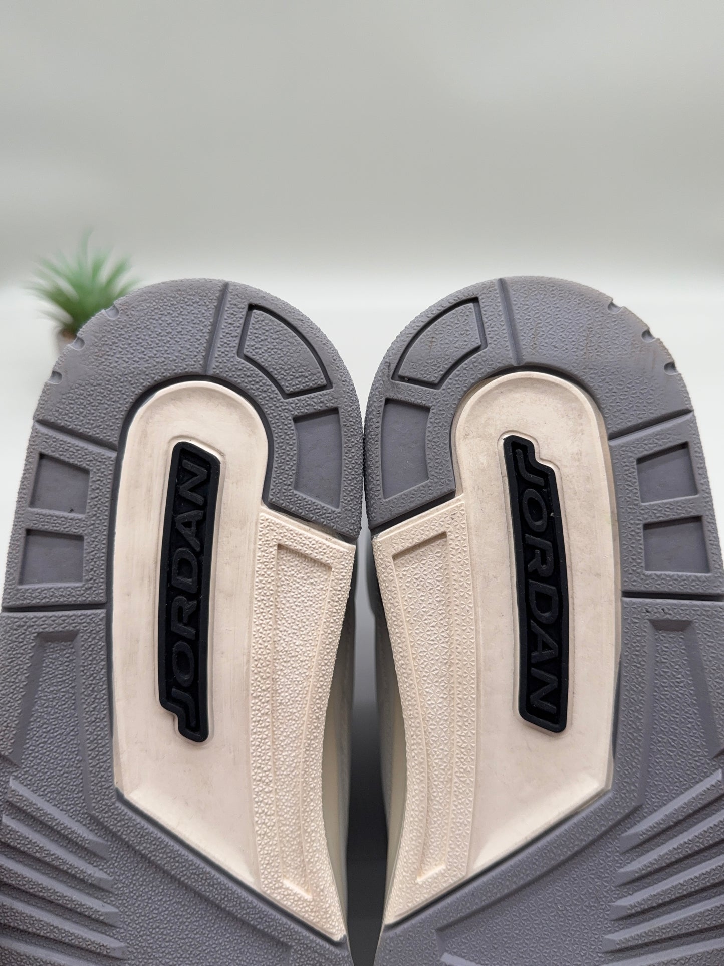 Jordan 3 Cement Grey