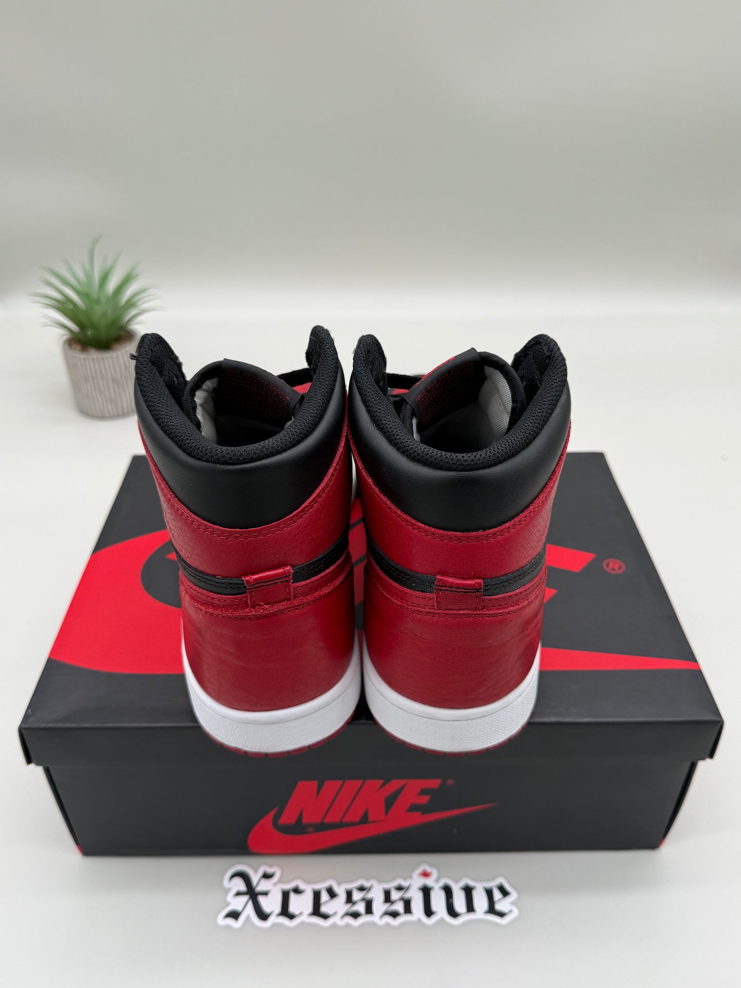 Jordan 1 Banned (2016)