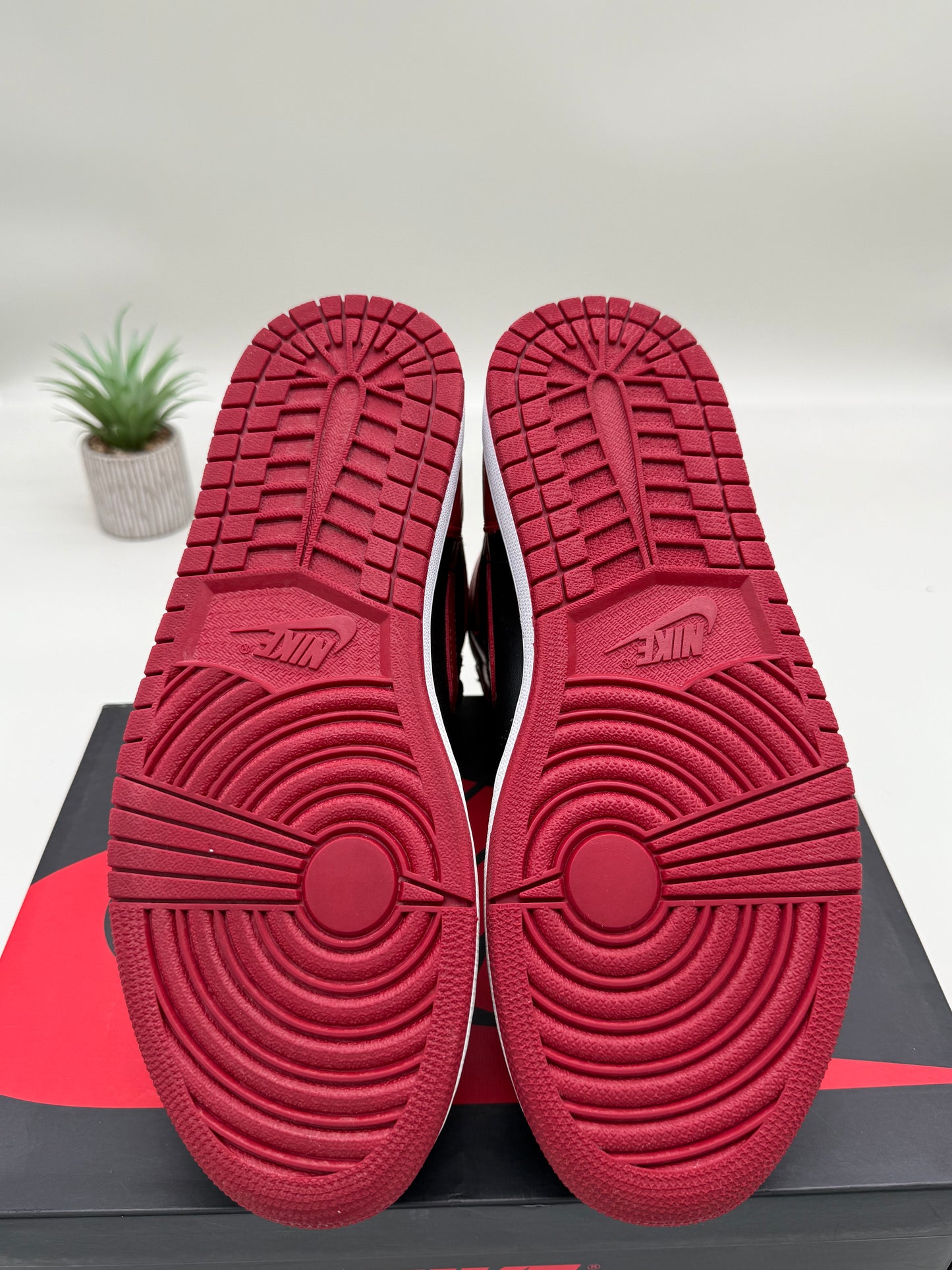 Jordan 1 Banned (2016)