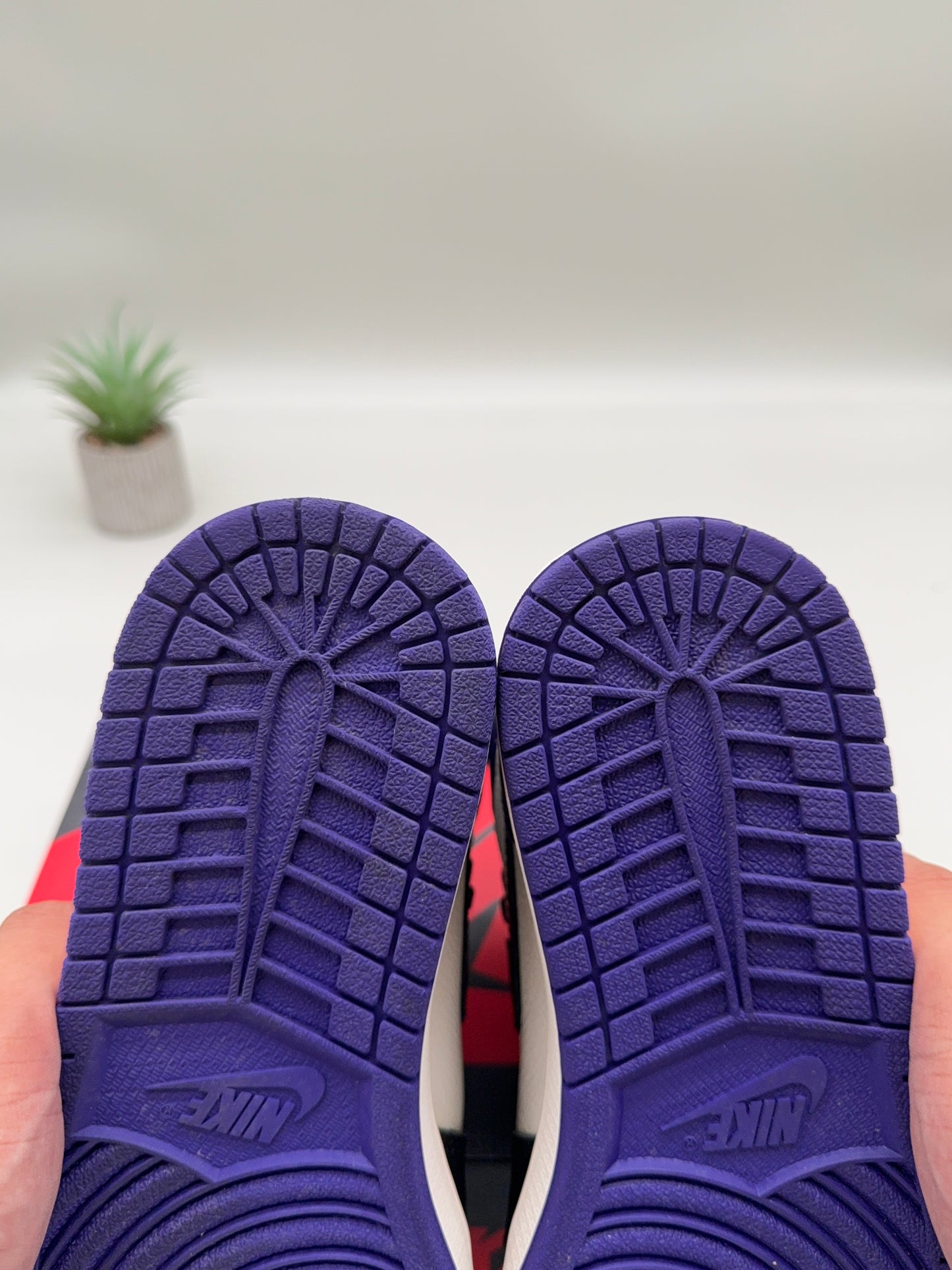 Jordan 1 Court Purple