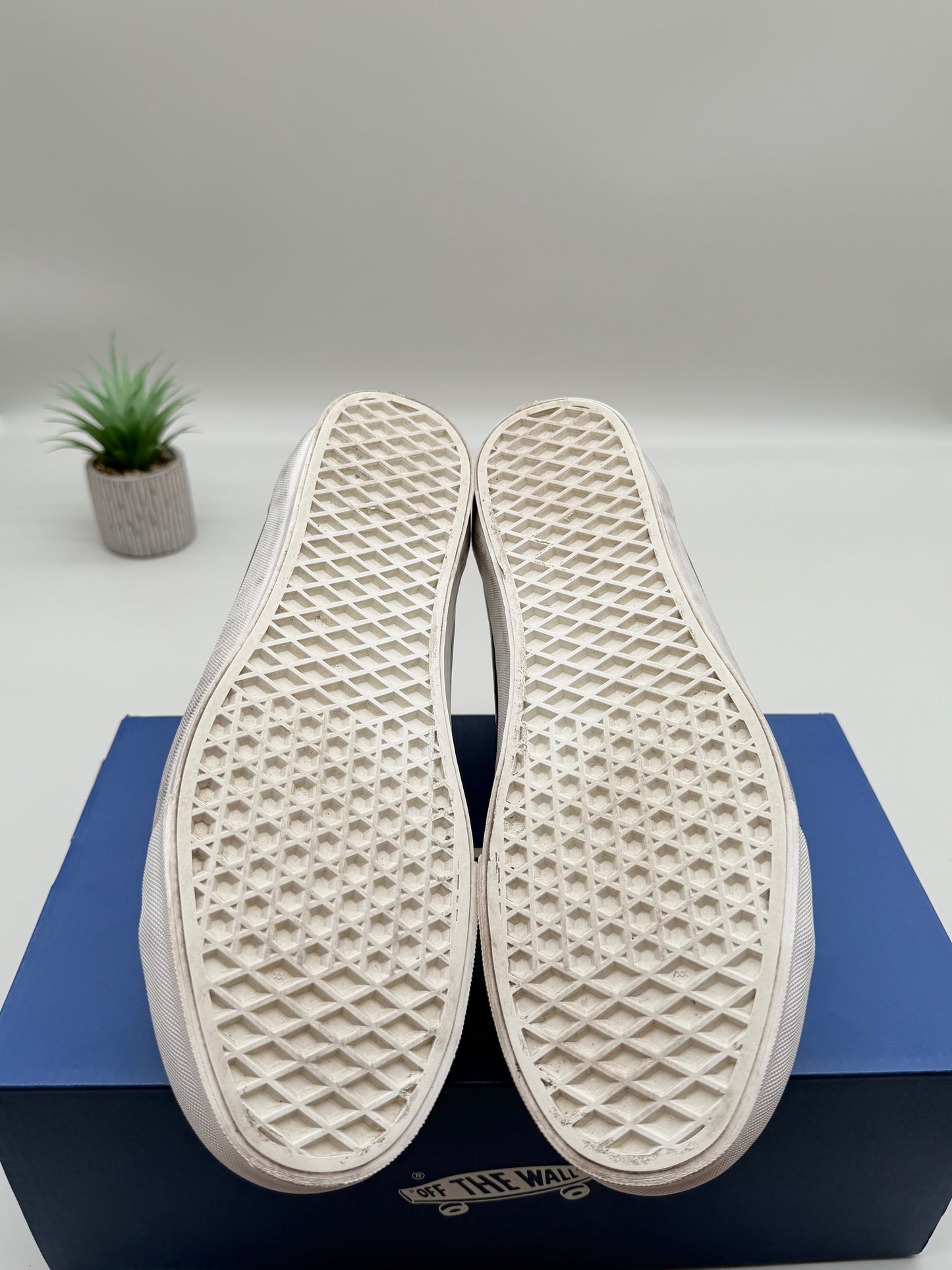 Vans Old Skool 36 Pearlized Marshmallow