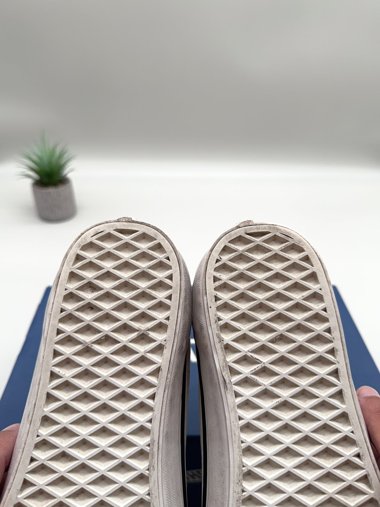 Vans Old Skool 36 Pearlized Marshmallow