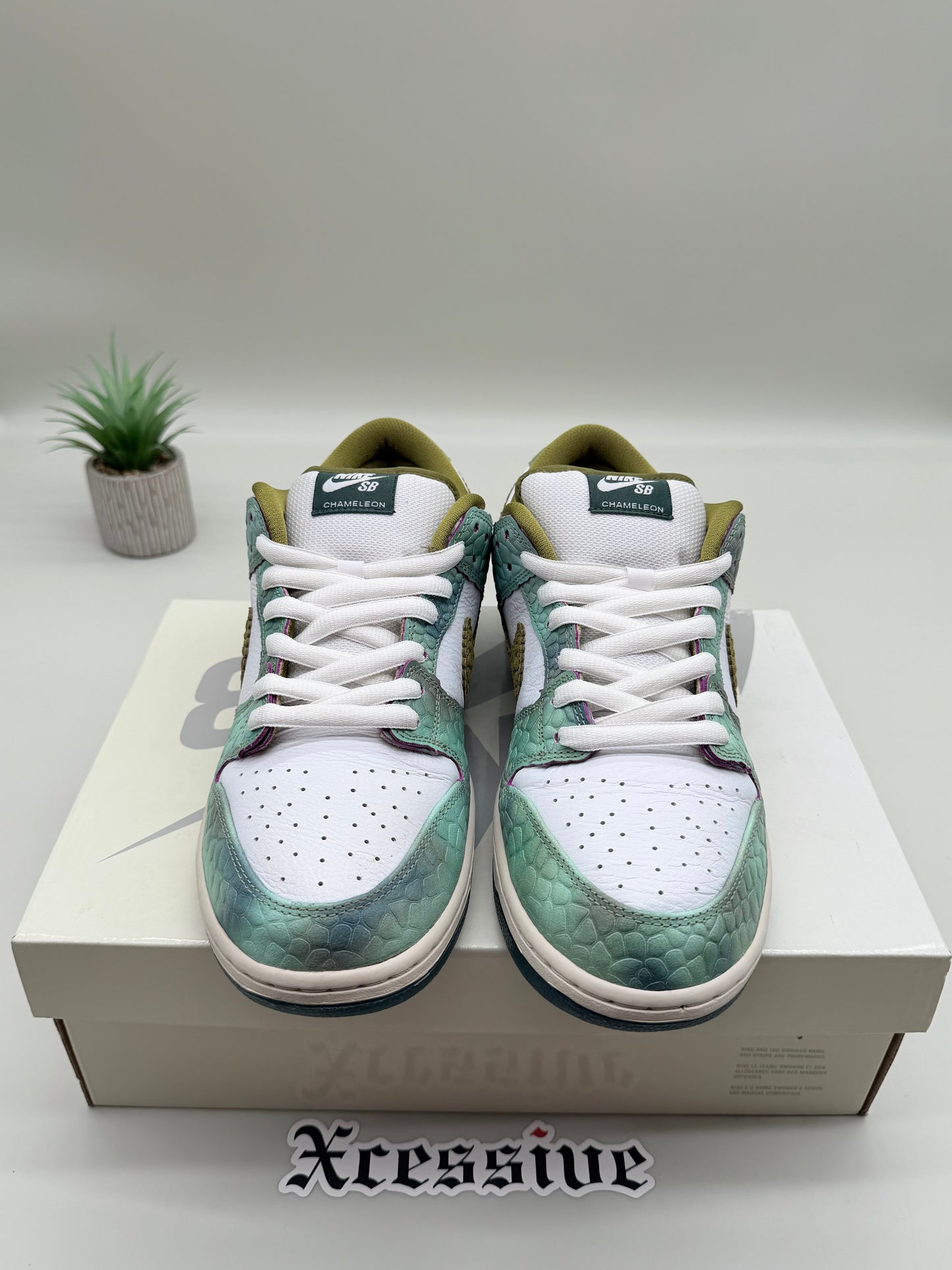 Nike SB Dunk Low Chameleon