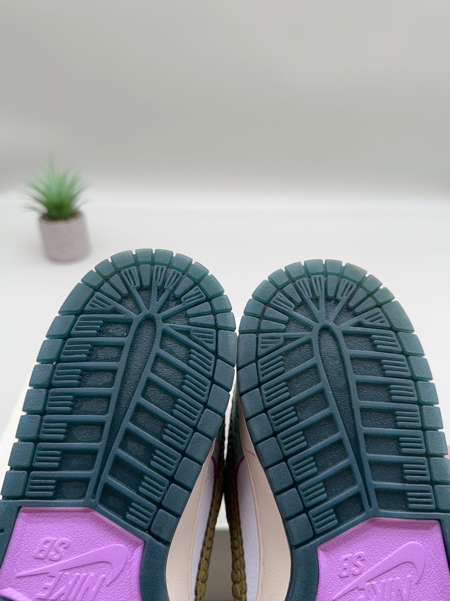 Nike SB Dunk Low Chameleon