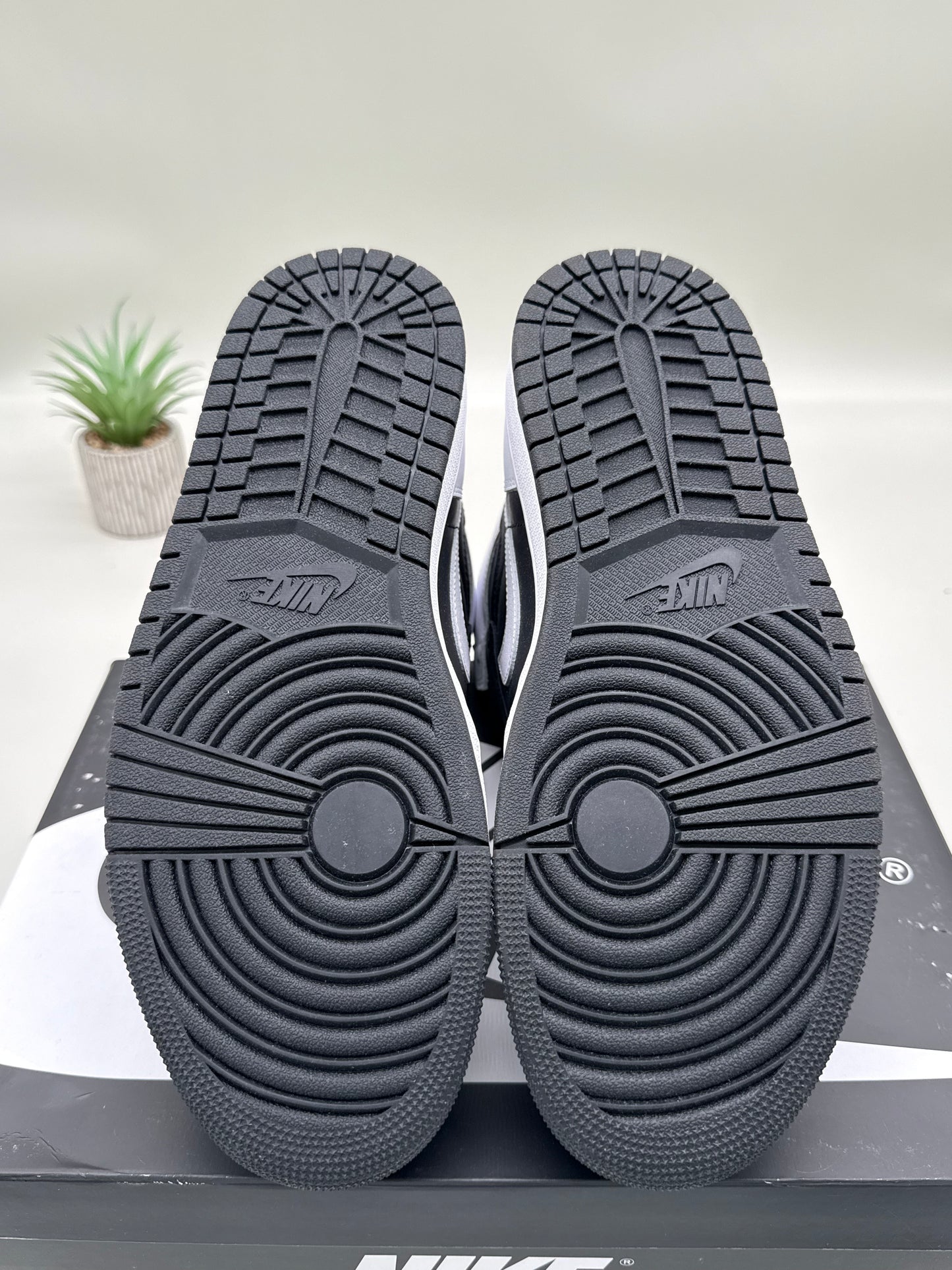 Jordan 1 Black White