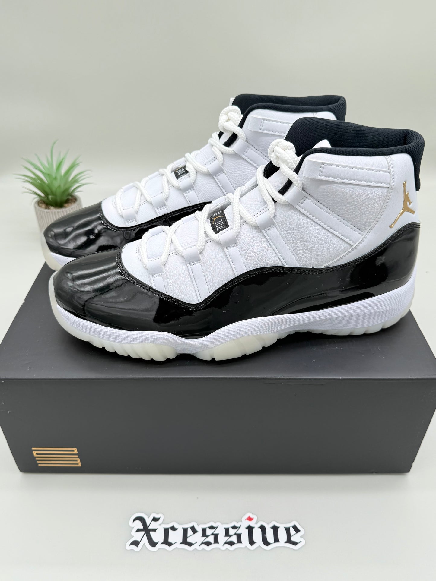 Jordan 11 DMP Gratitude