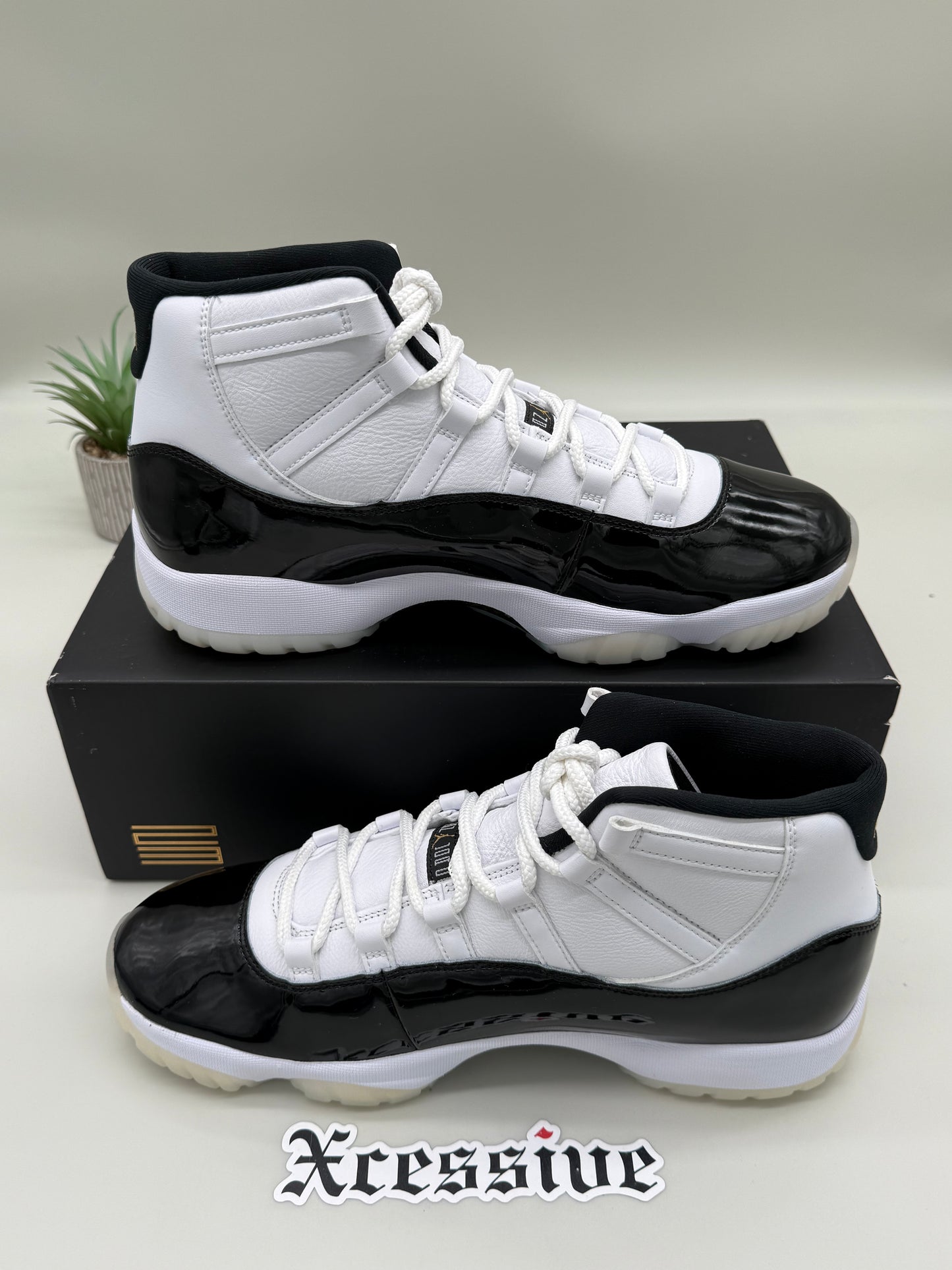 Jordan 11 DMP Gratitude