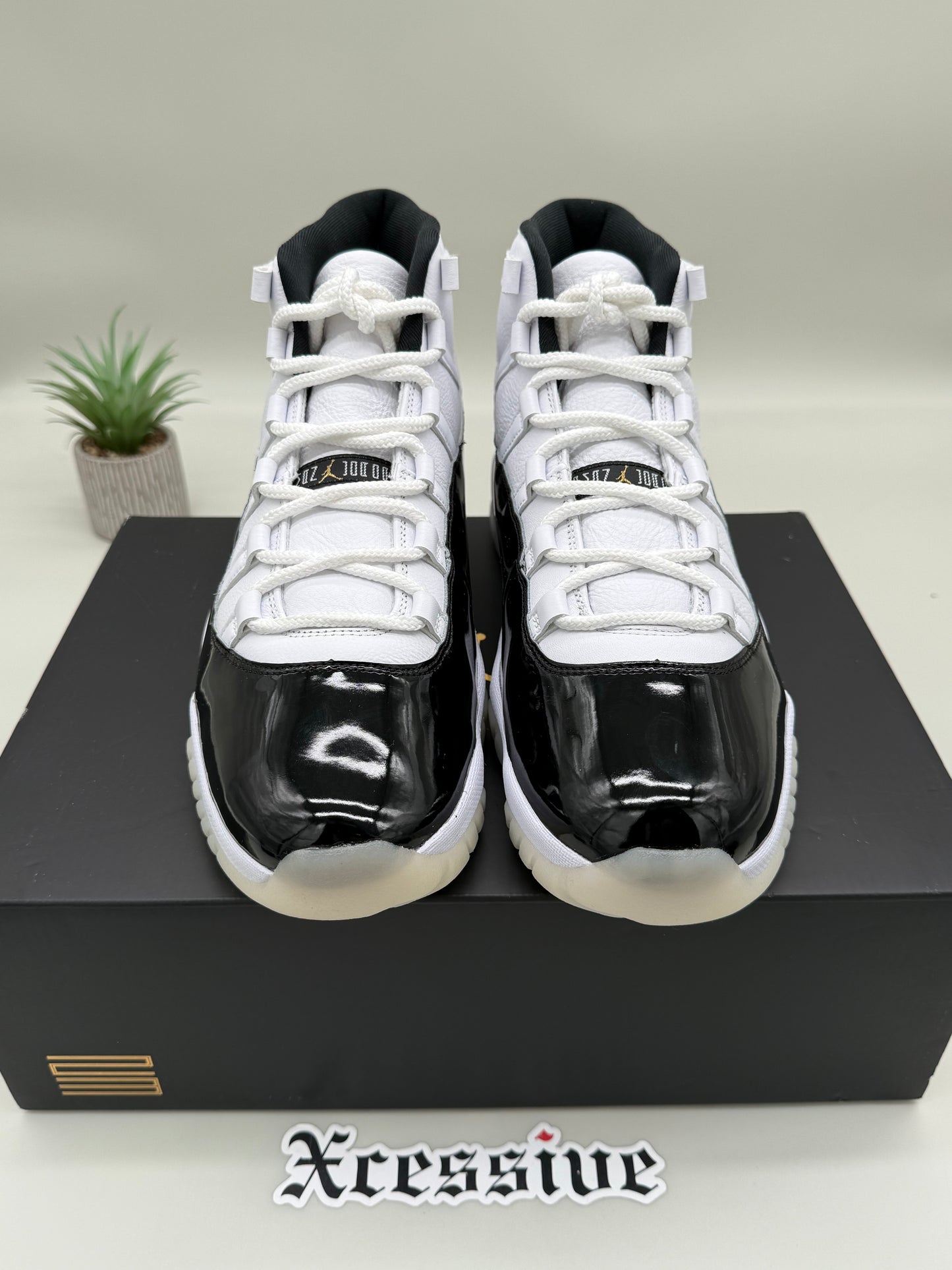 Jordan 11 DMP Gratitude