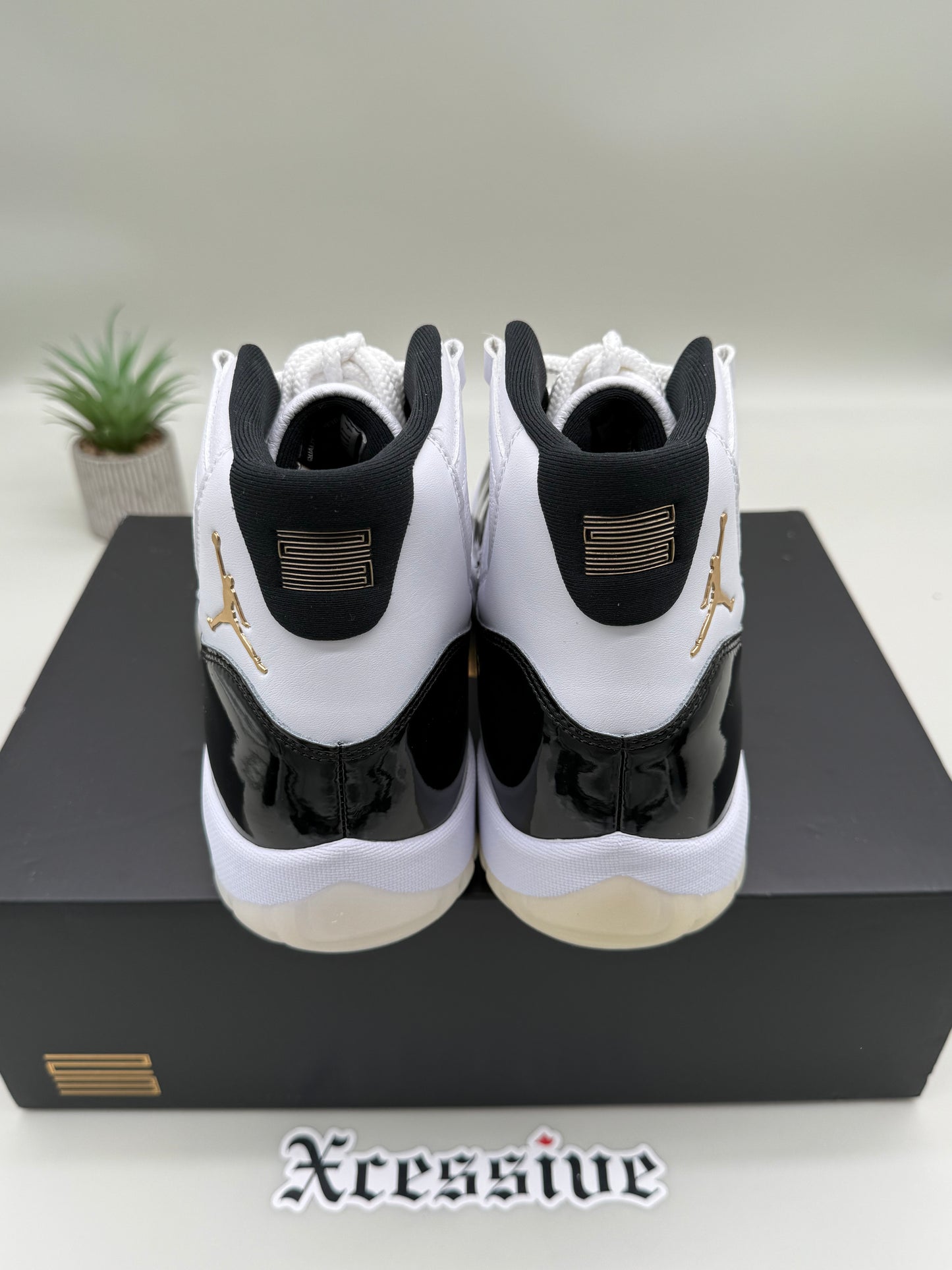 Jordan 11 DMP Gratitude