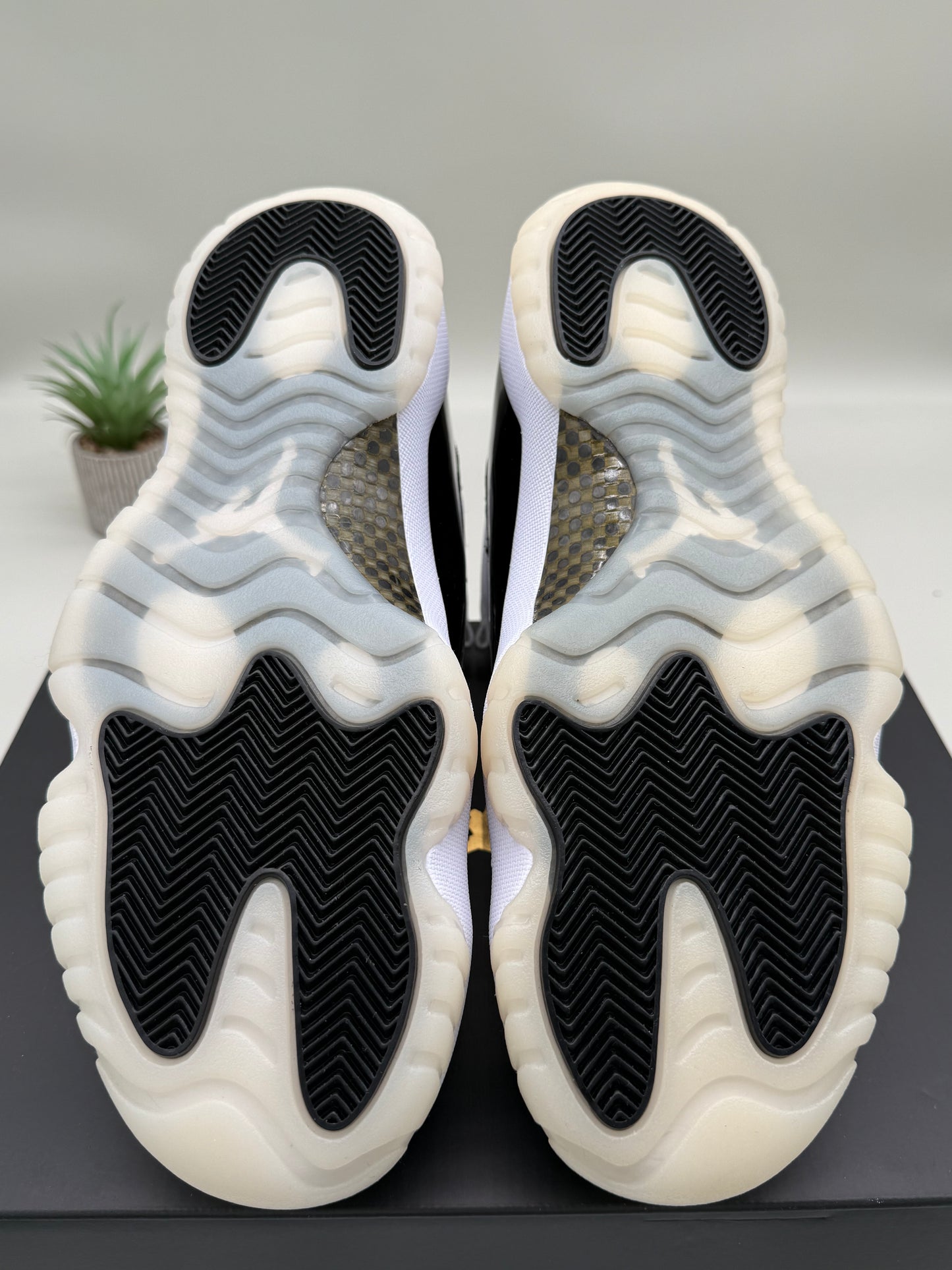 Jordan 11 DMP Gratitude